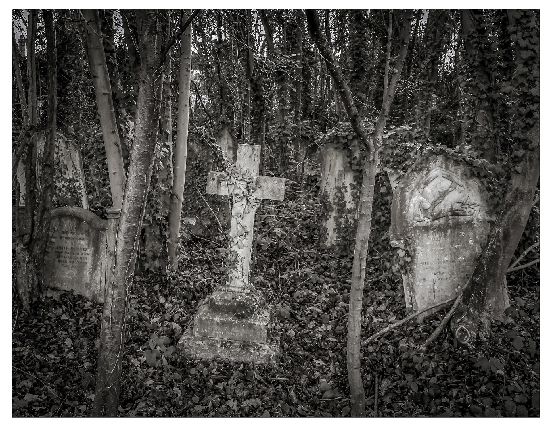 Forgotten lives