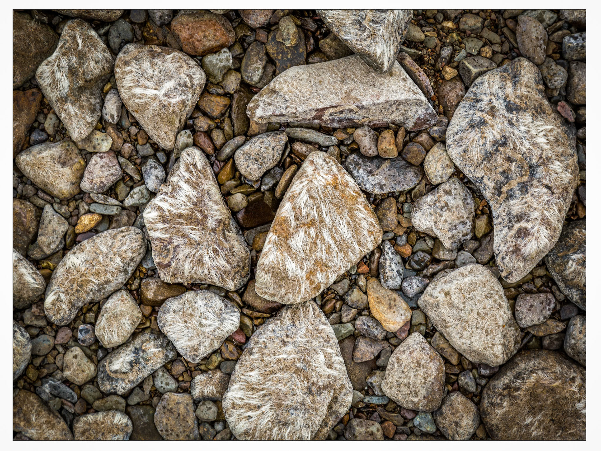 Furry stones