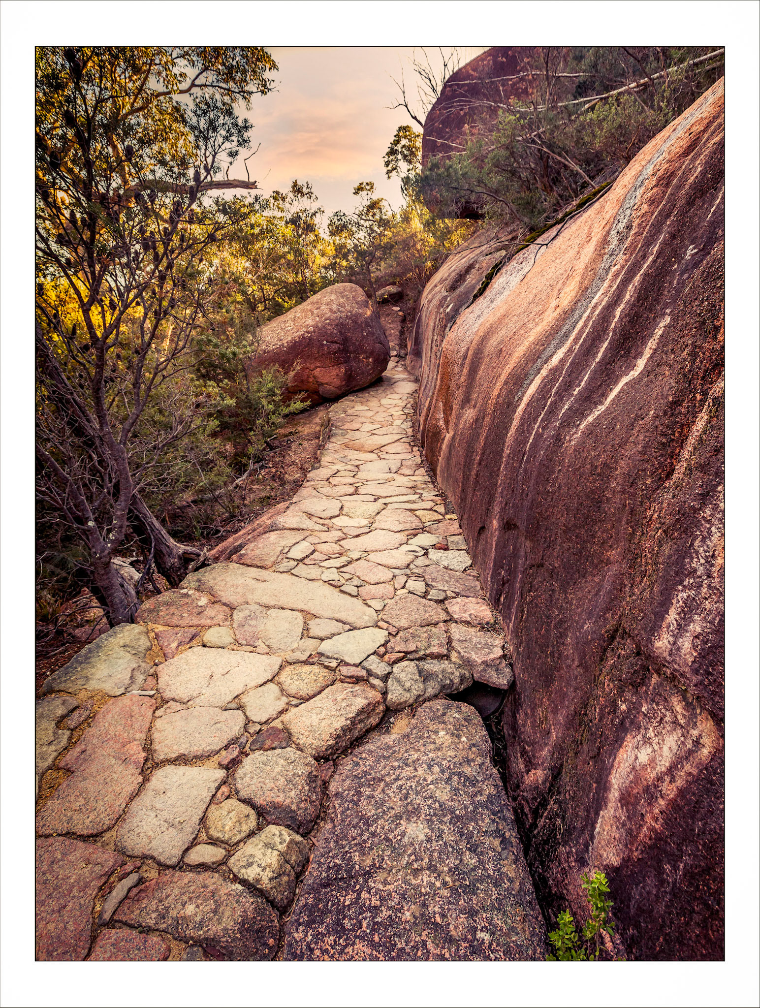 Path up to Wineglass Bay lookout