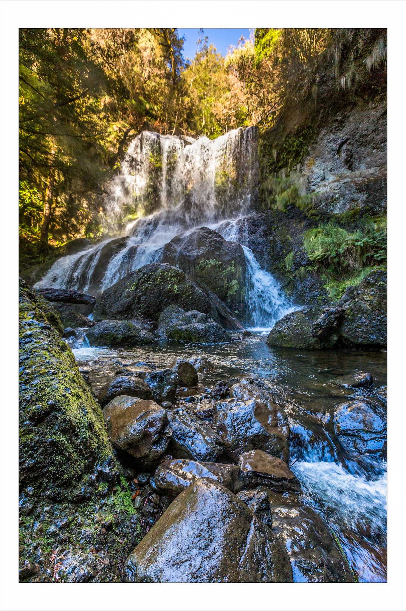 Champagne Falls, rain forest Cradle Valley
