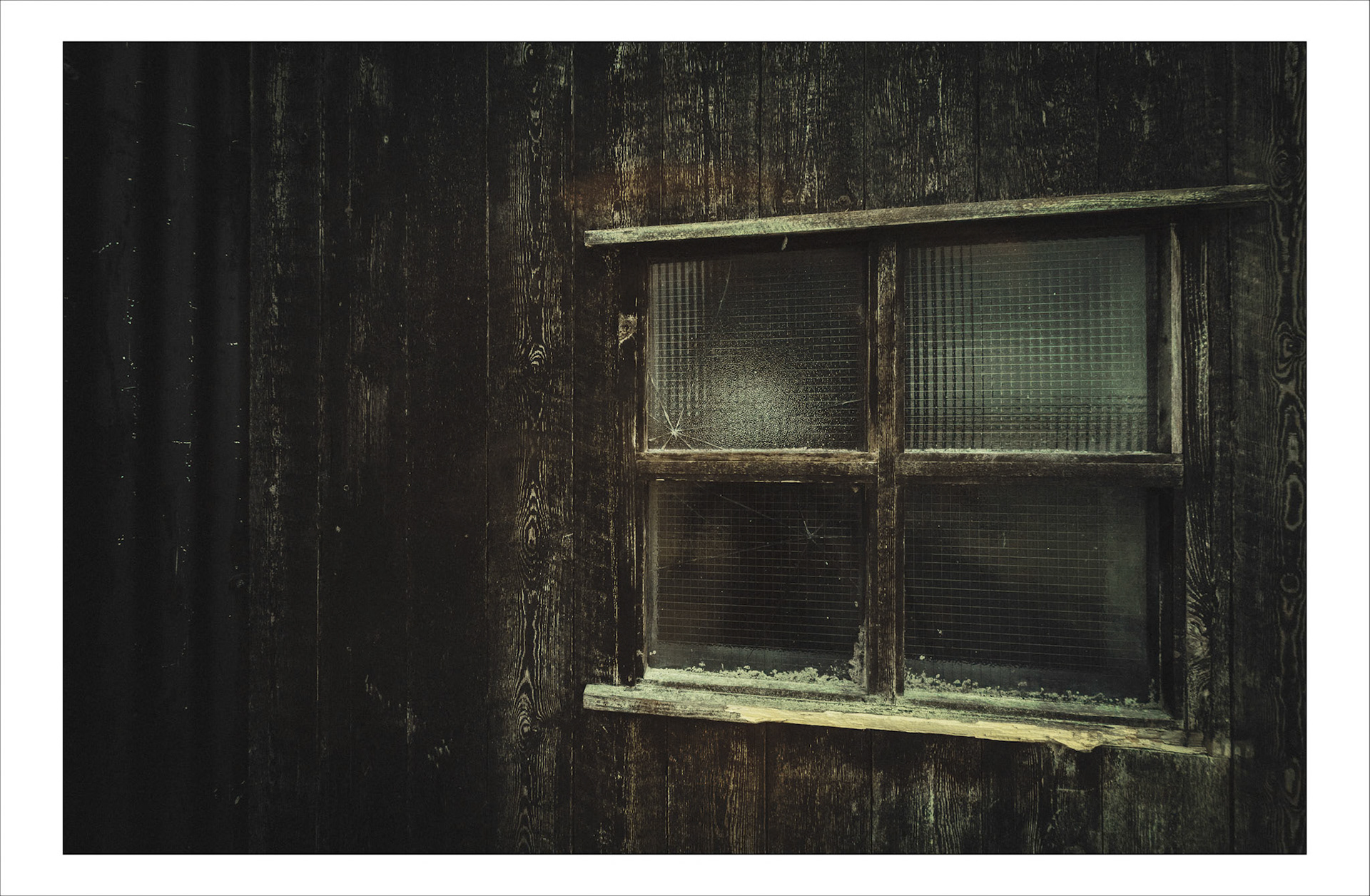 Frosted Window
