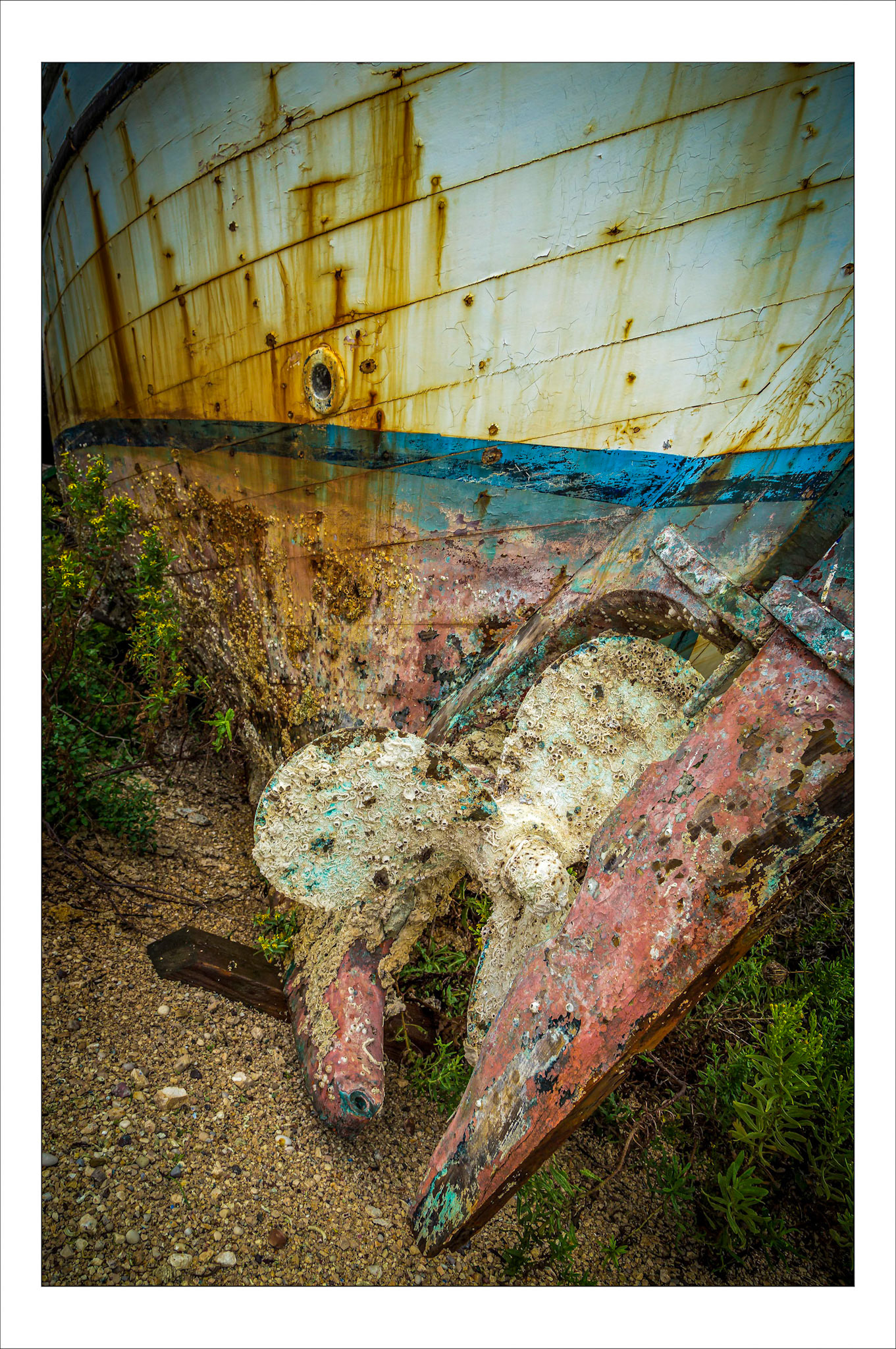Abandoned Boat
