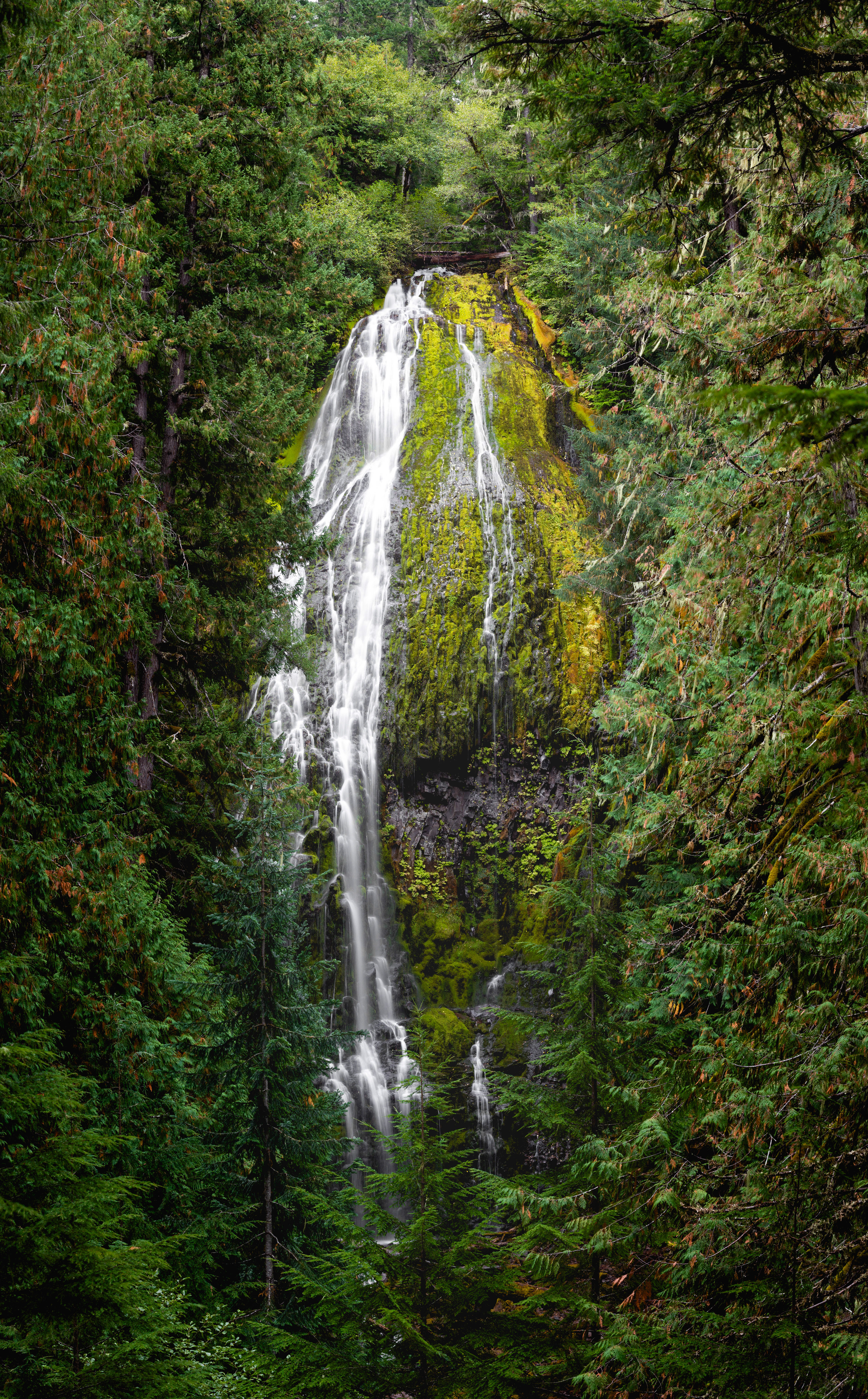 Proxy Falls