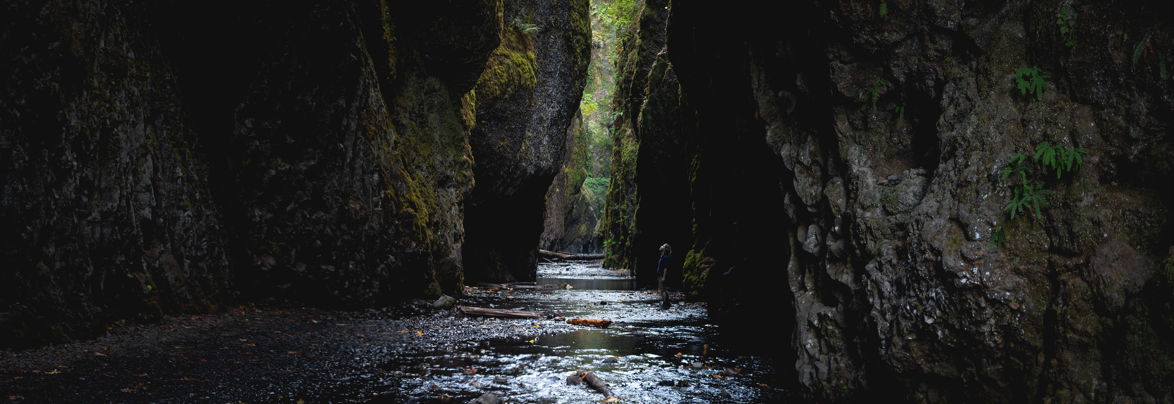 Oneonta Gorge