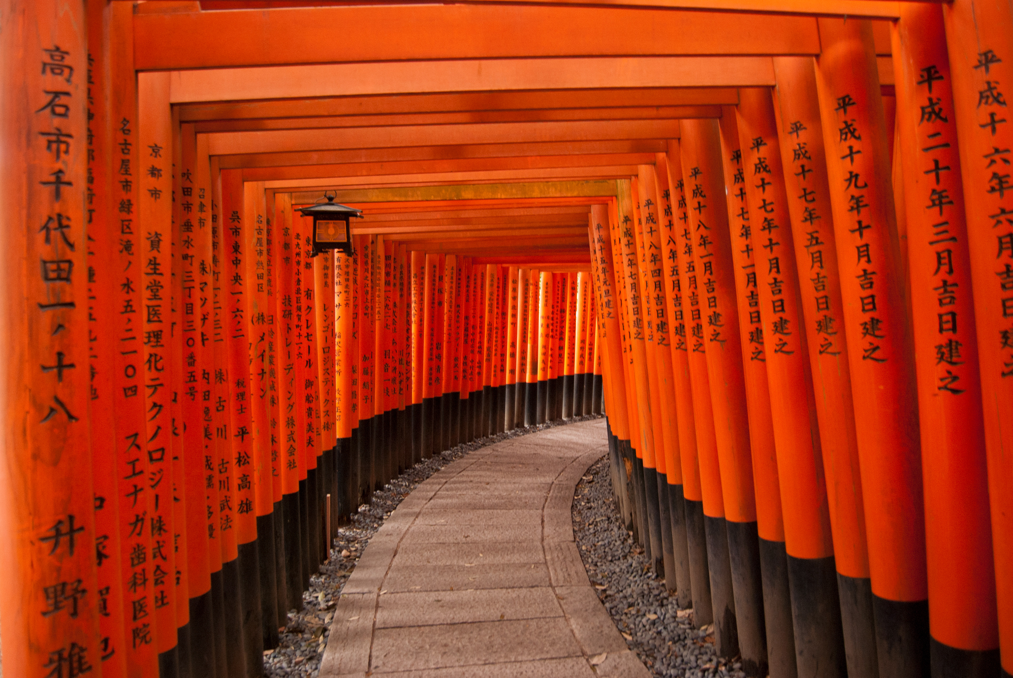 Fushimi Inari, a mountain lined with Torii Gates in Kyoto, Japan. 