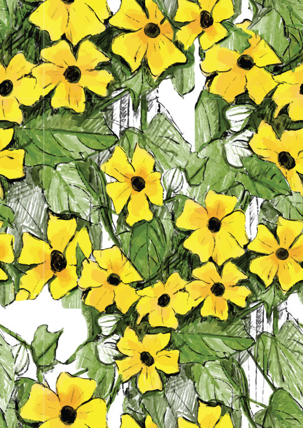 essai motif vectorise illustrator