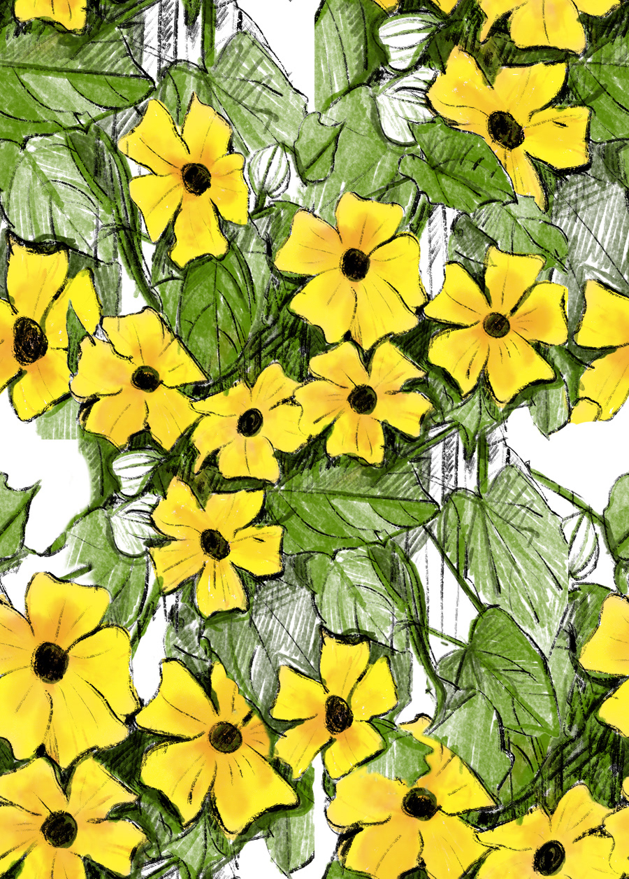 dessin sous procreate/aop photoshop