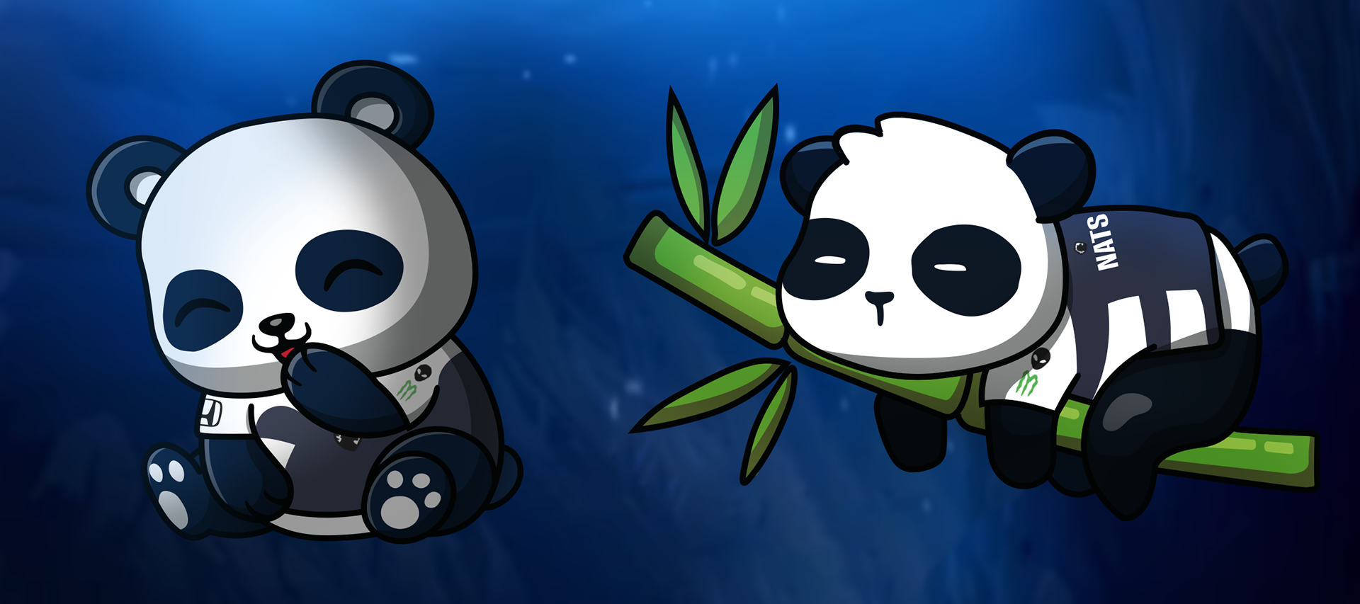 Liquid X nAts x Panda