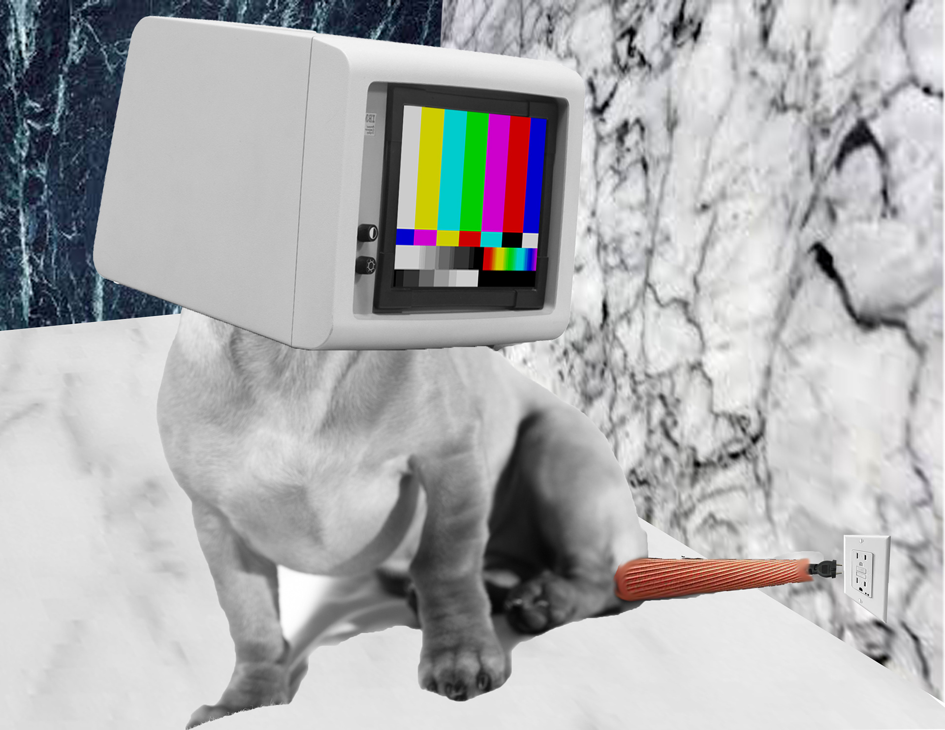 Imagine having a computer as a puppy. No, not Tekno. Like, a real robot puppy that left bolts everywhere, recharges to sleep, and crashes into your head to wake you up.