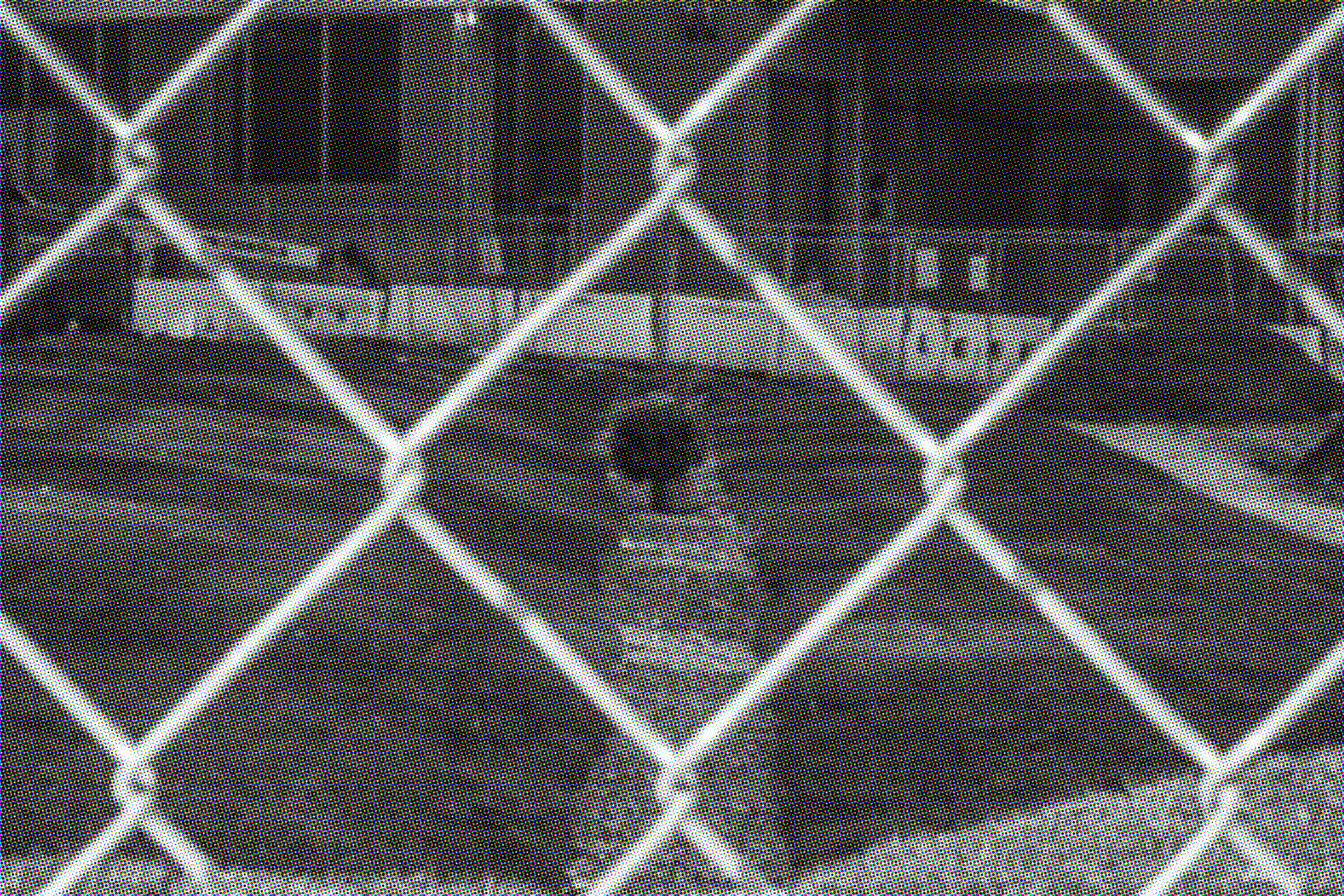 There was this little plant behind this fence. I kept wondering why it was caged.
