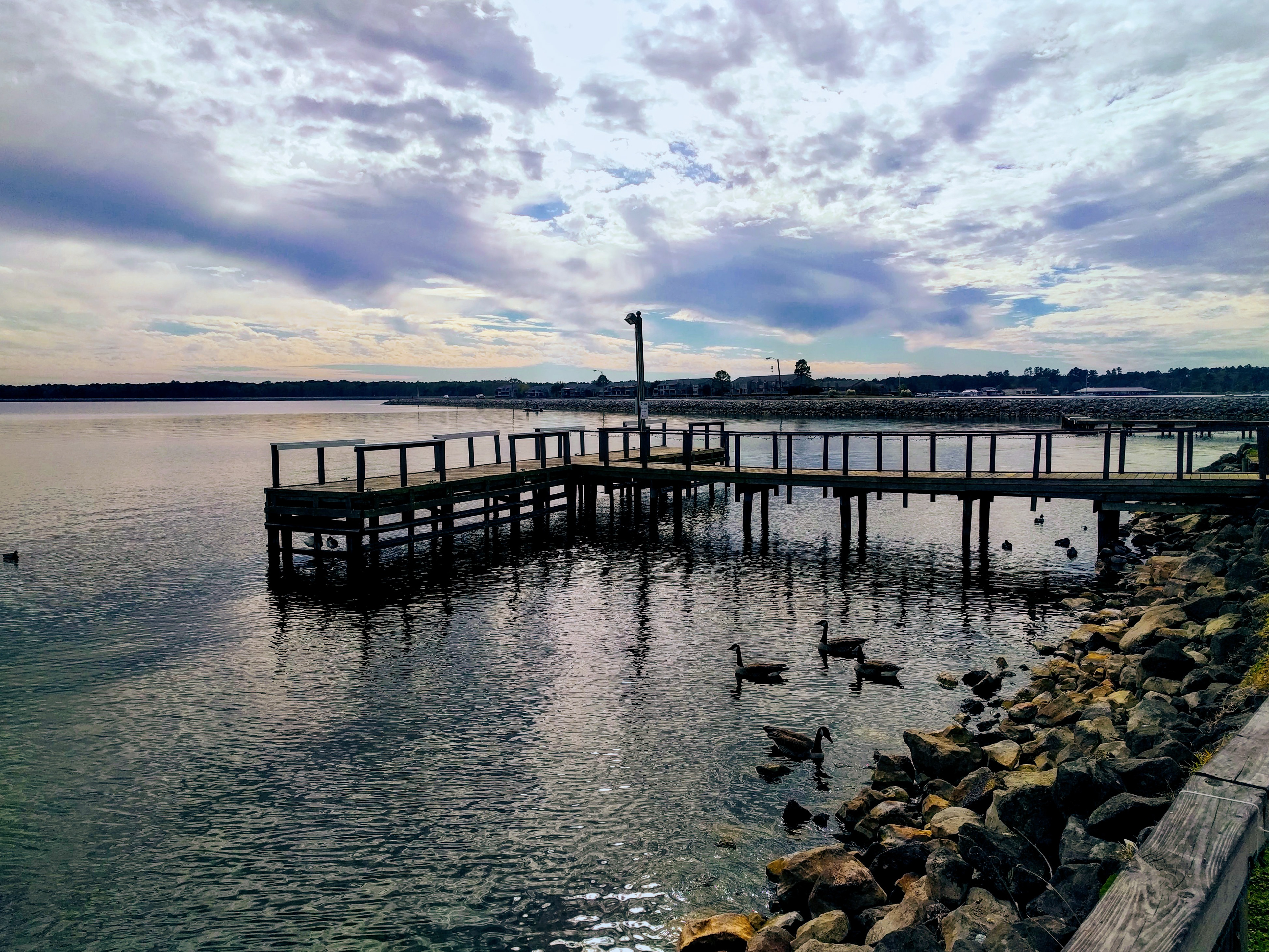 Noticed the clouds by the choppy docks, but I still couldn't help but enjoy that mild chaos, supplied by the swans.