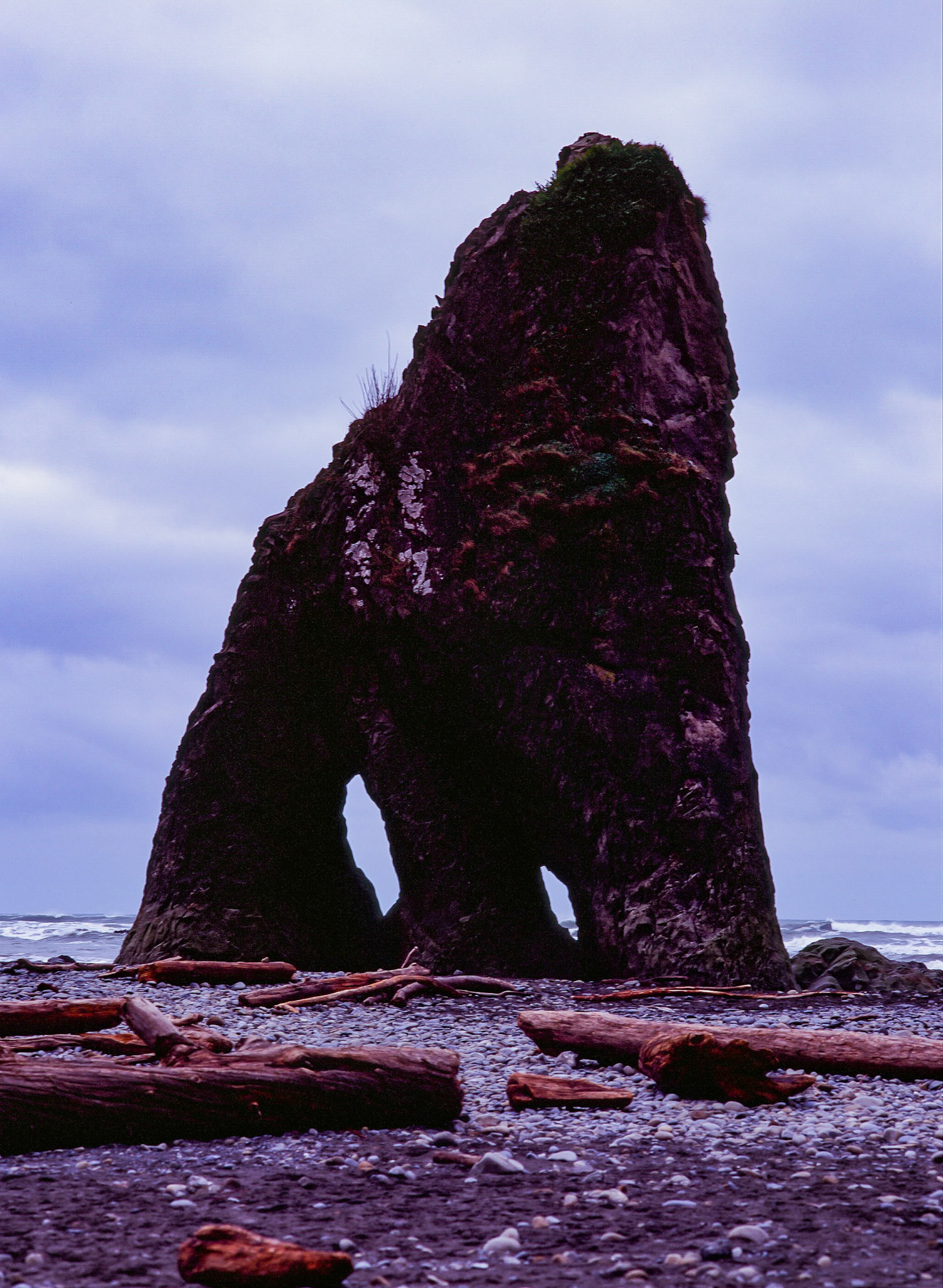Ruby Beach, Olympic National Park. Shot on Fuji Velvia 100