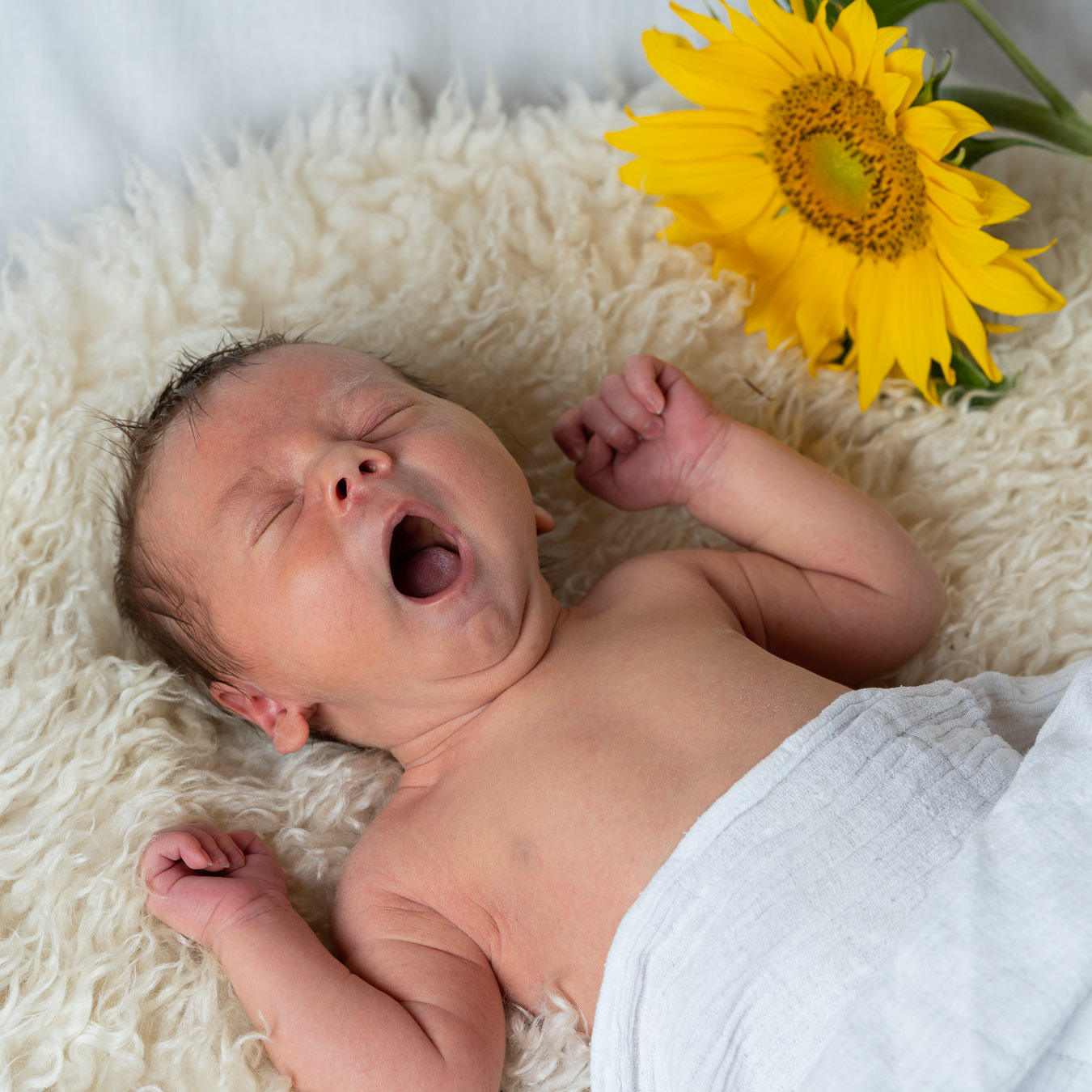 Newborn-kuvaus asiakkaan kotona