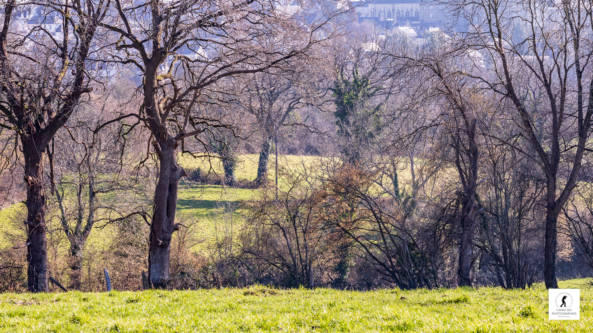 Le bocage biscornu d'hiver.