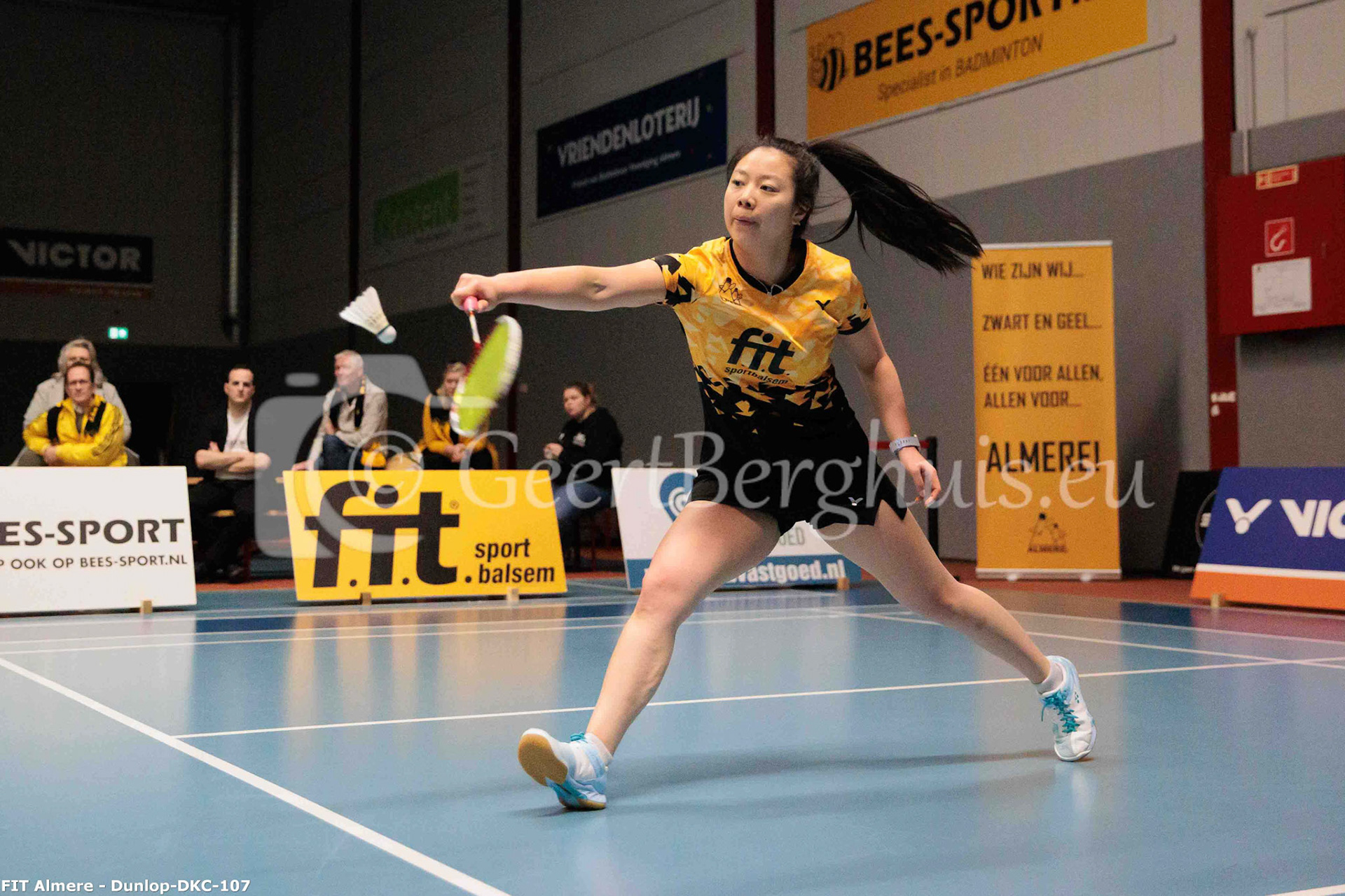 Alida Chen