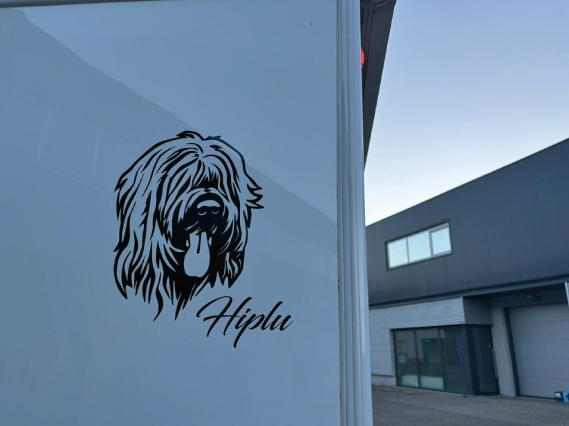 camper sticker