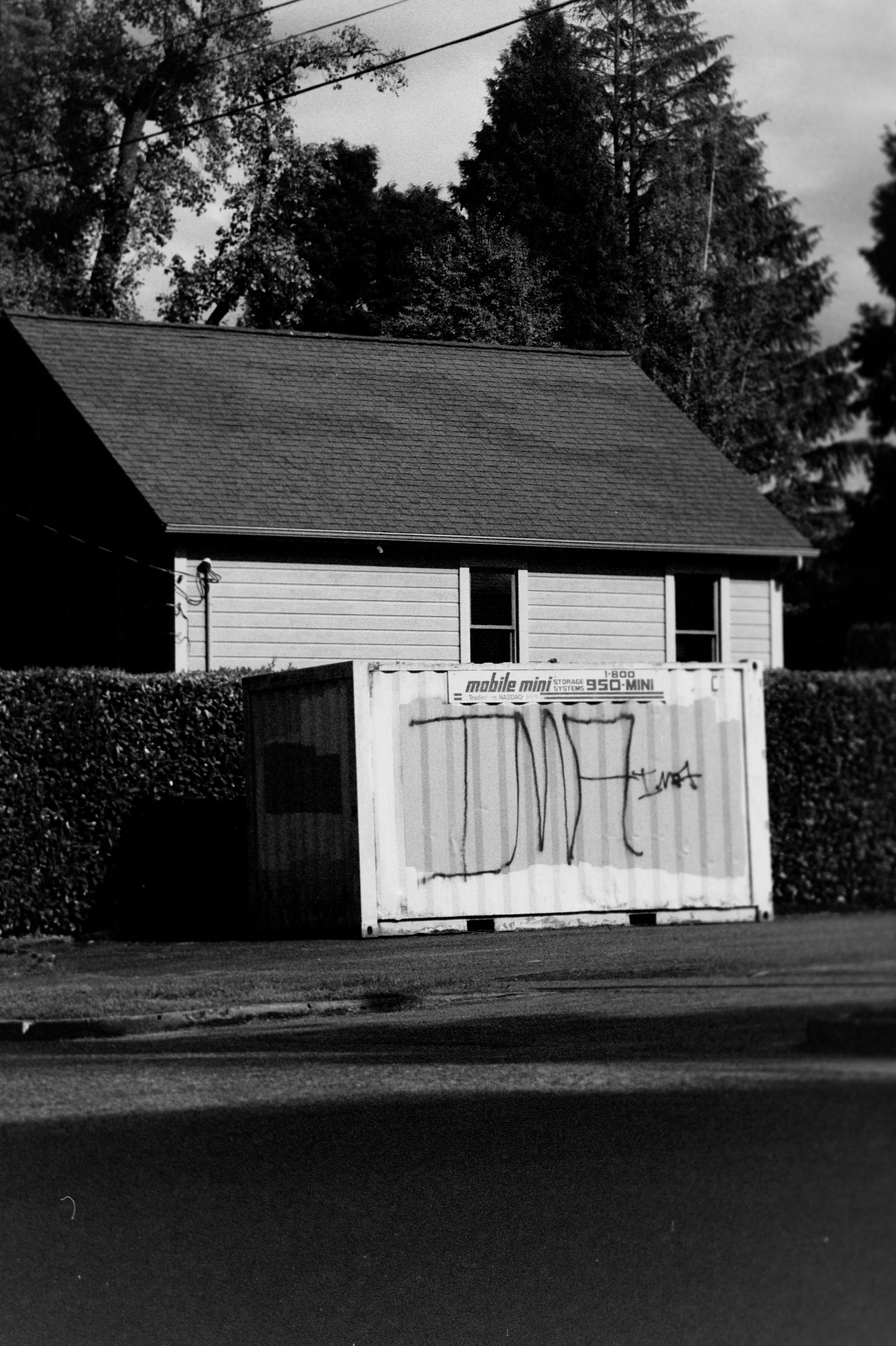 Storage "Dumpster"