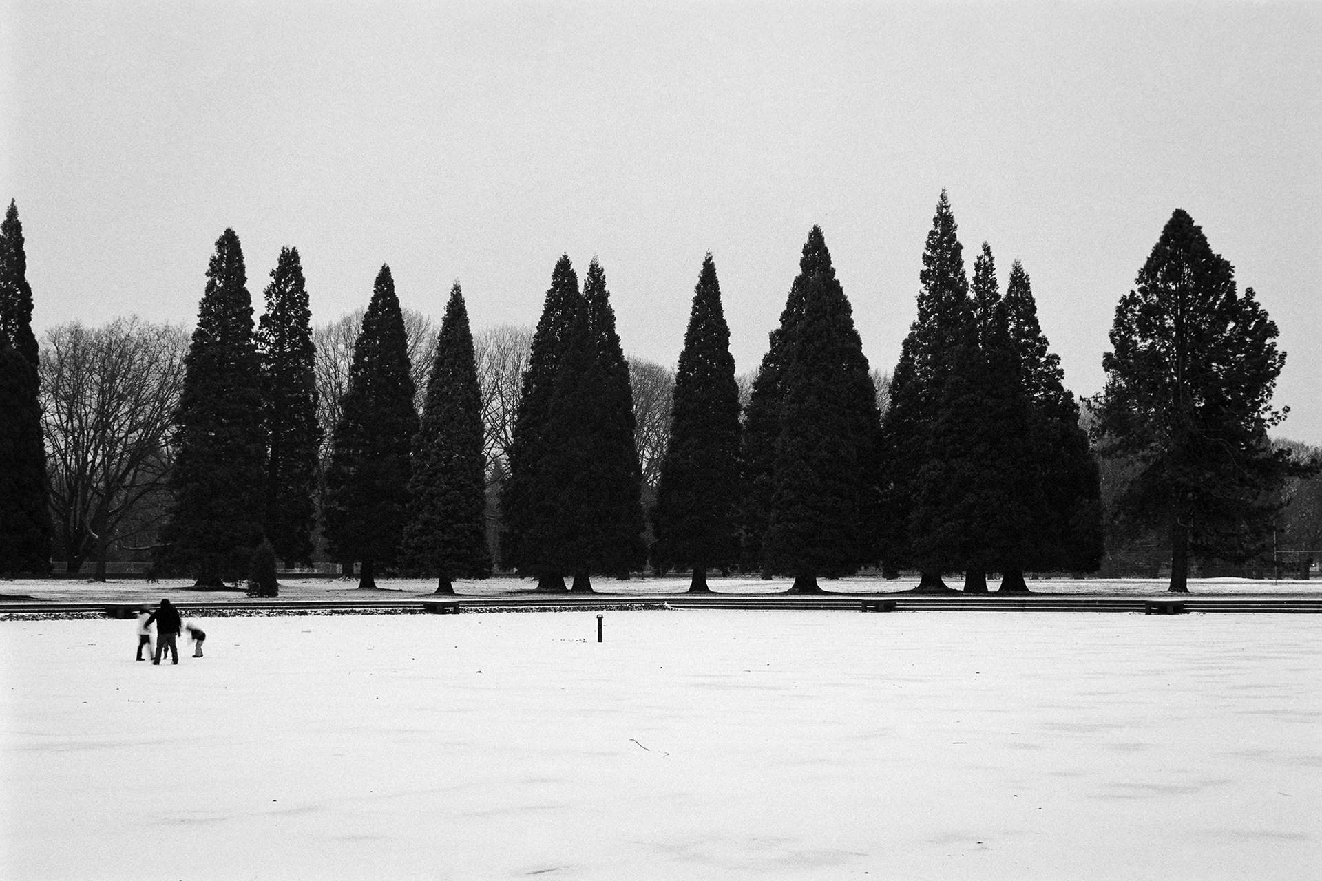 a black and white photograph of a park with a family playing in an expanse of snow, with dark evergreen trees in the background.