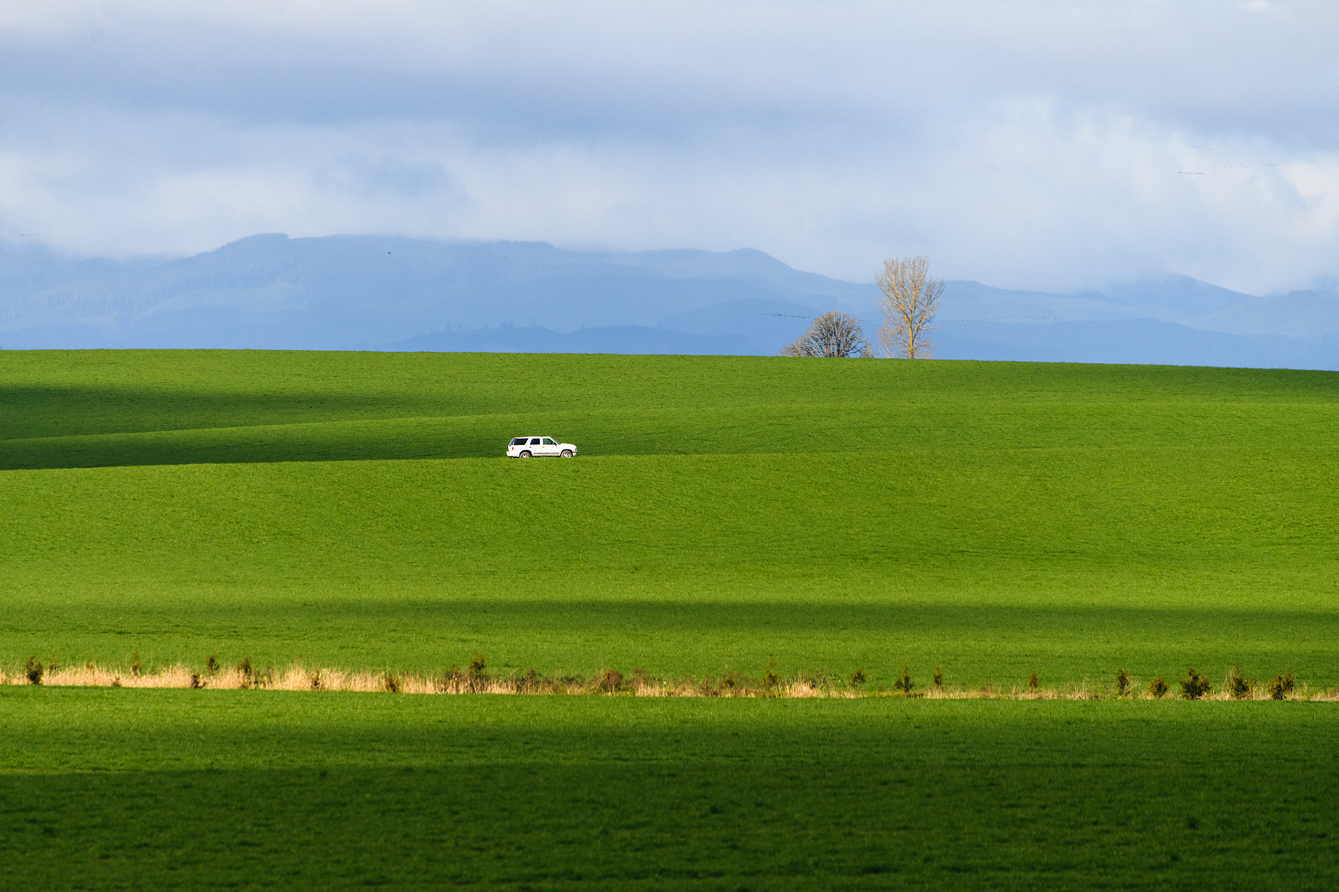 a white suv surrounded by rolling, green hills, with two trees in the background and a blue sky