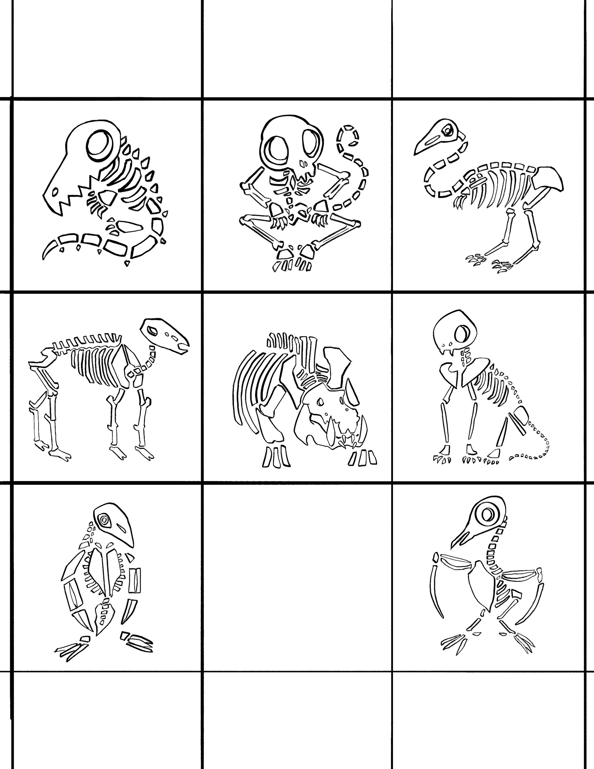 Animal Skeletons