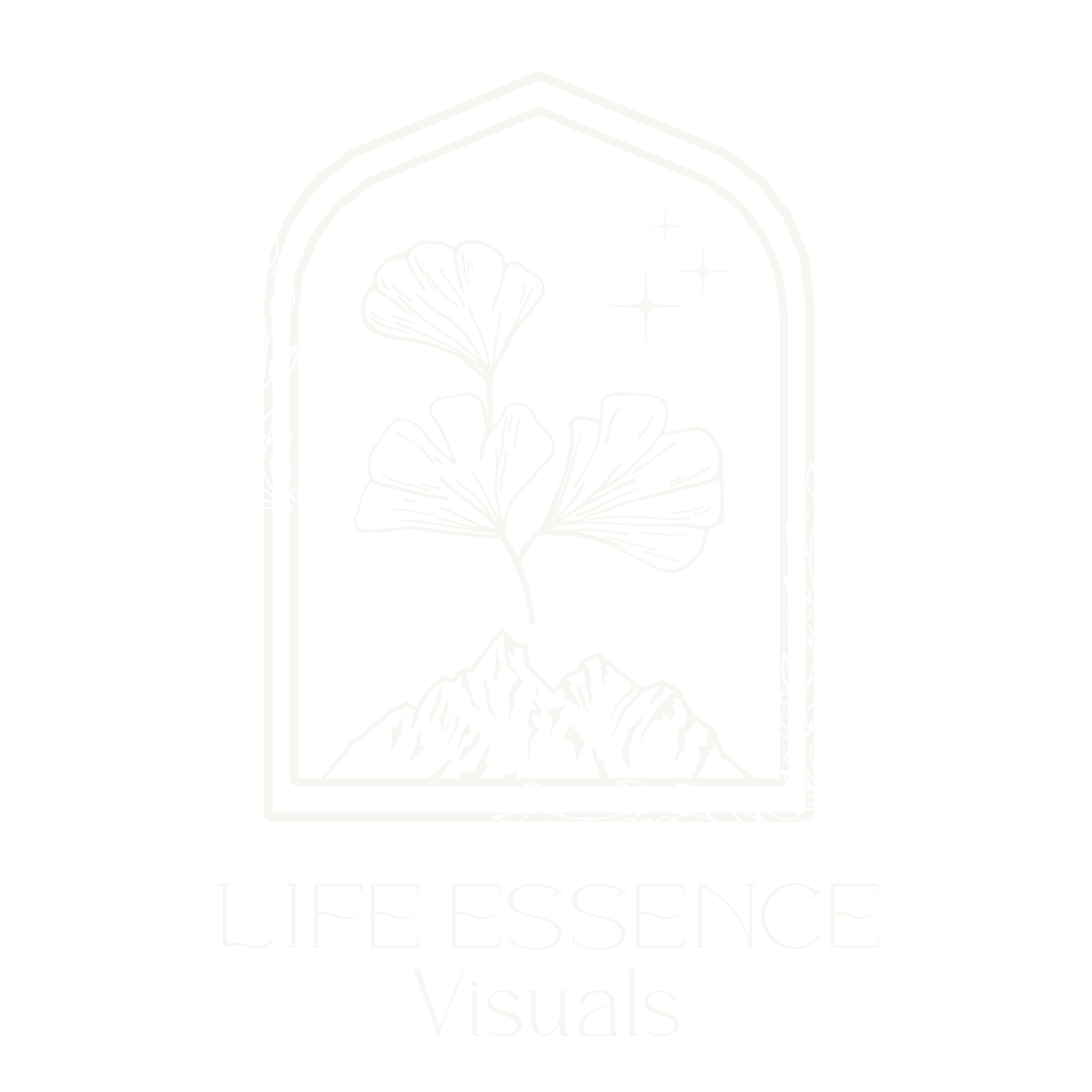 Life Essence Visuals