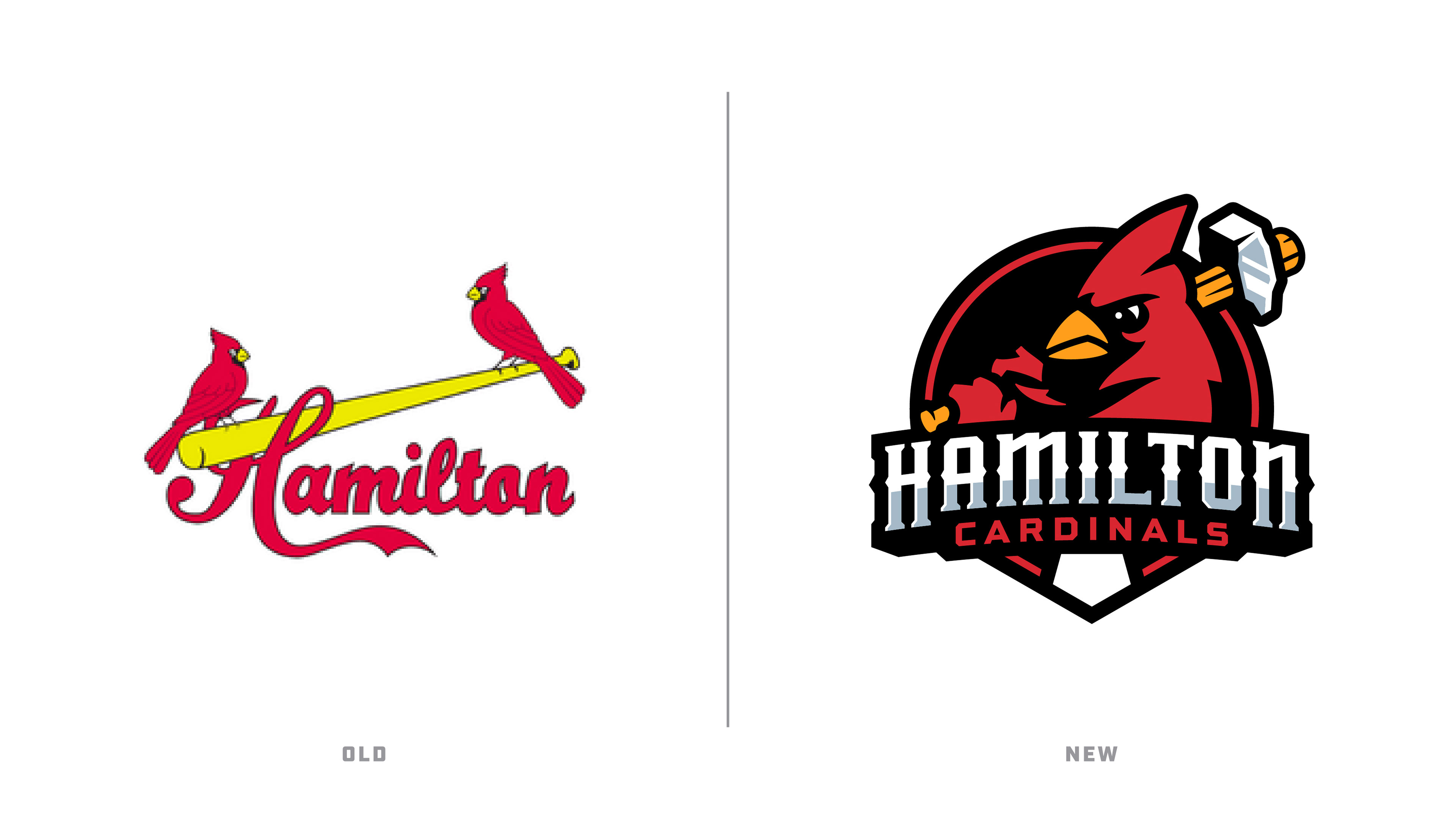 News: HAMILTON CARDINALS UNVEIL NEW PRIMARY LOGO, UNIFORMS AND