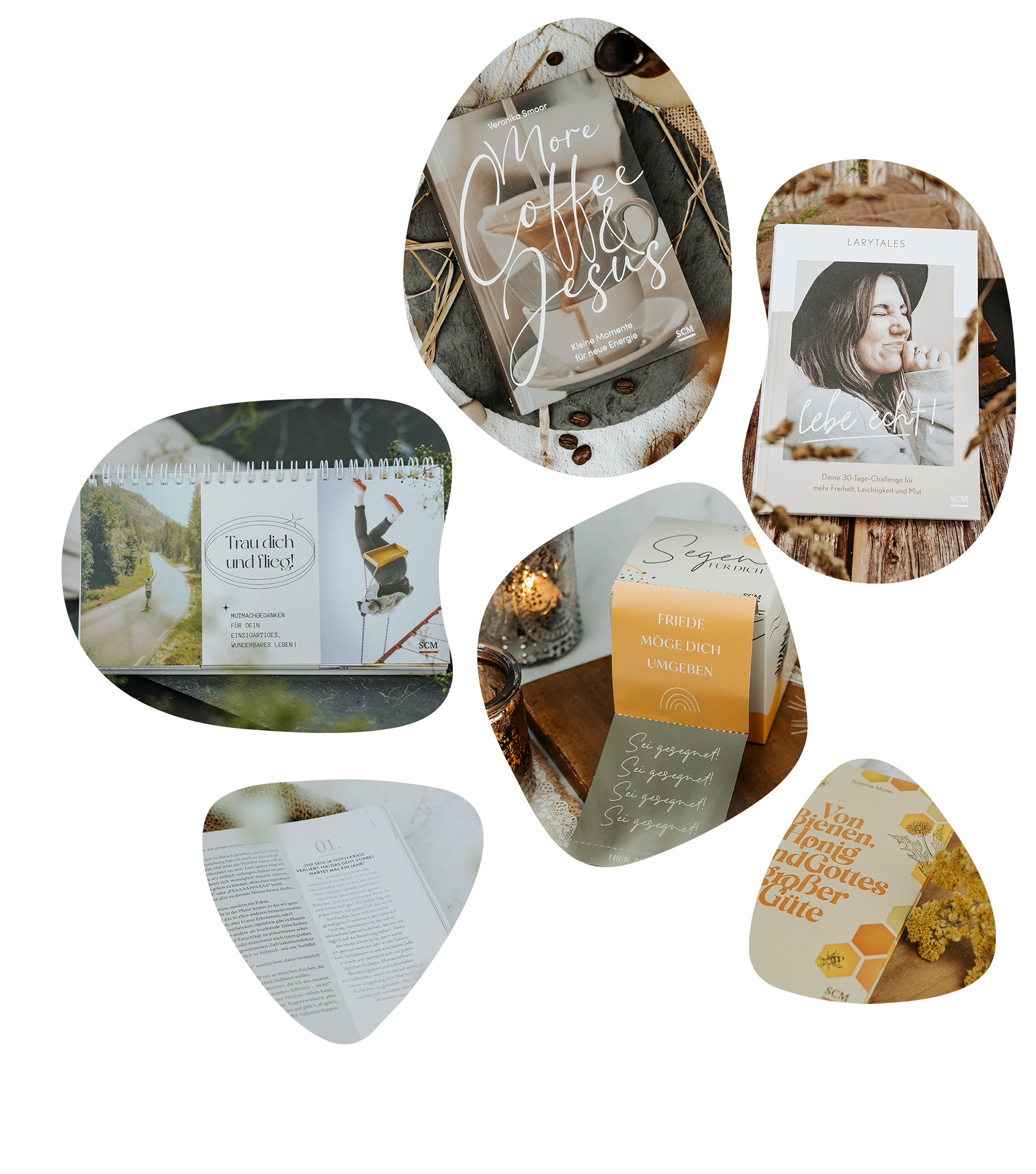 Portfolio Beispielbilder