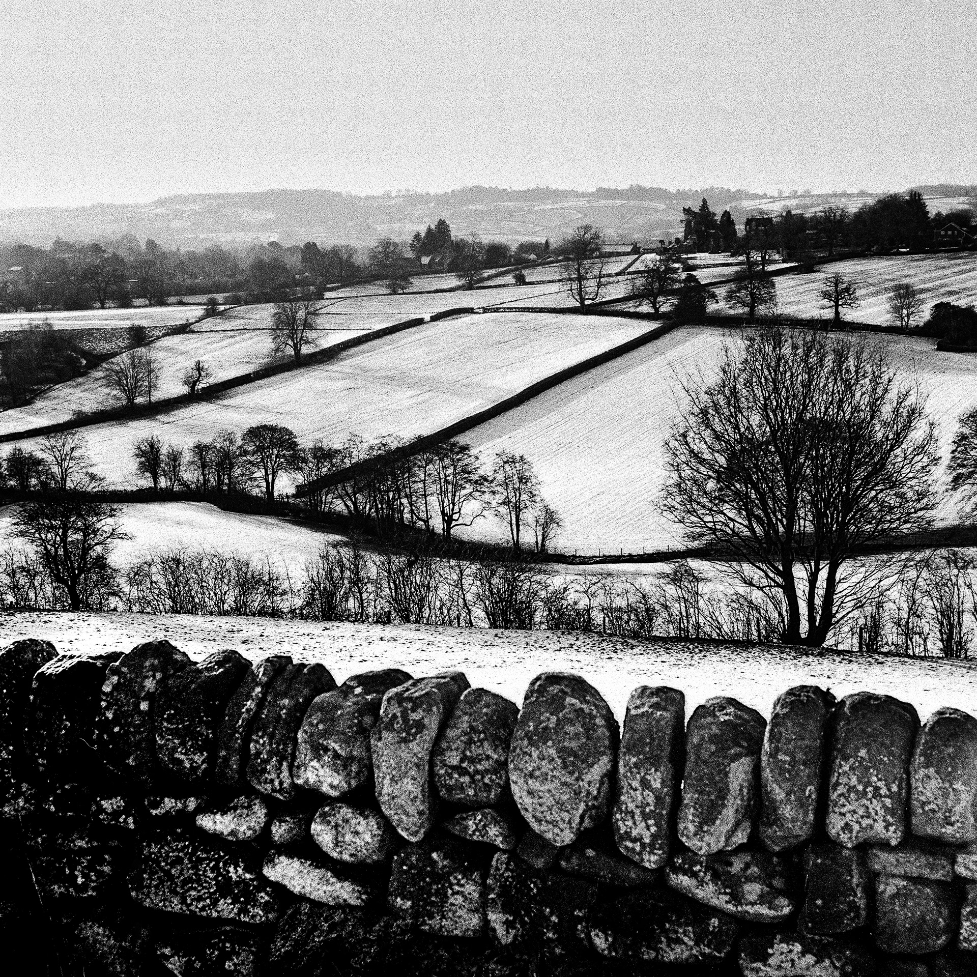 Winter View from the Chevin