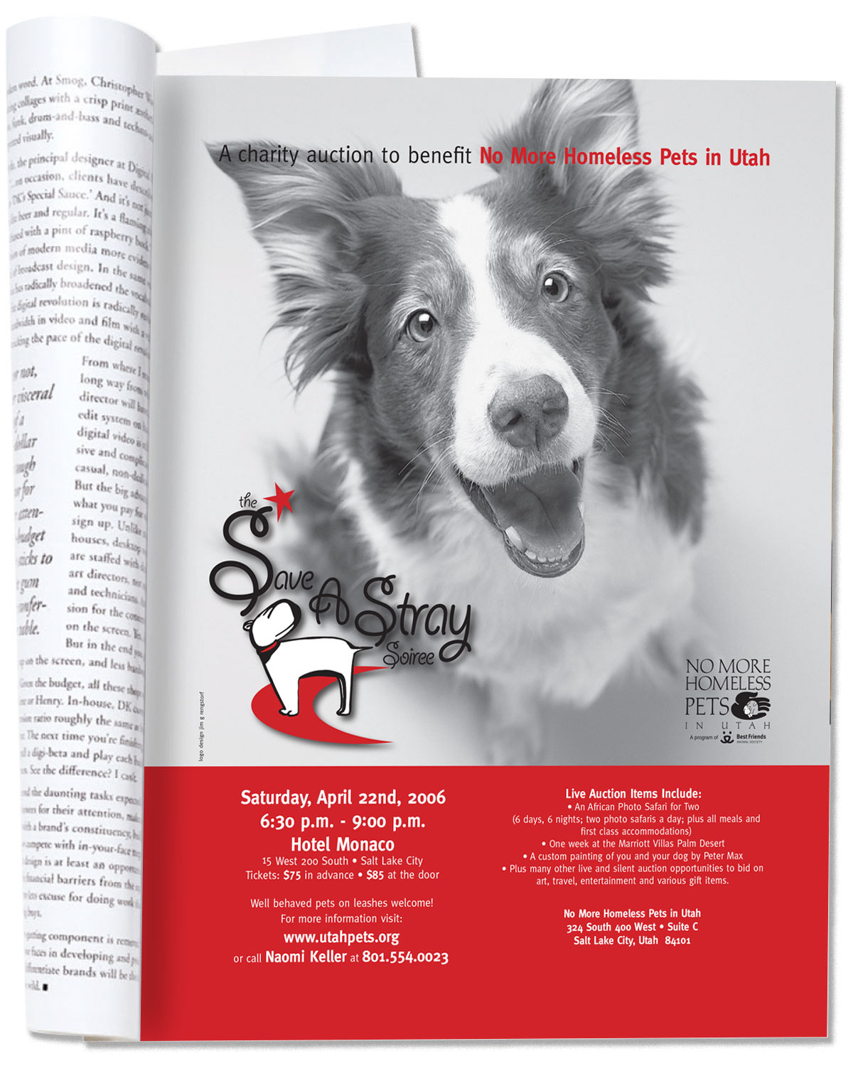 Save A Stray Soiree Charity Ad