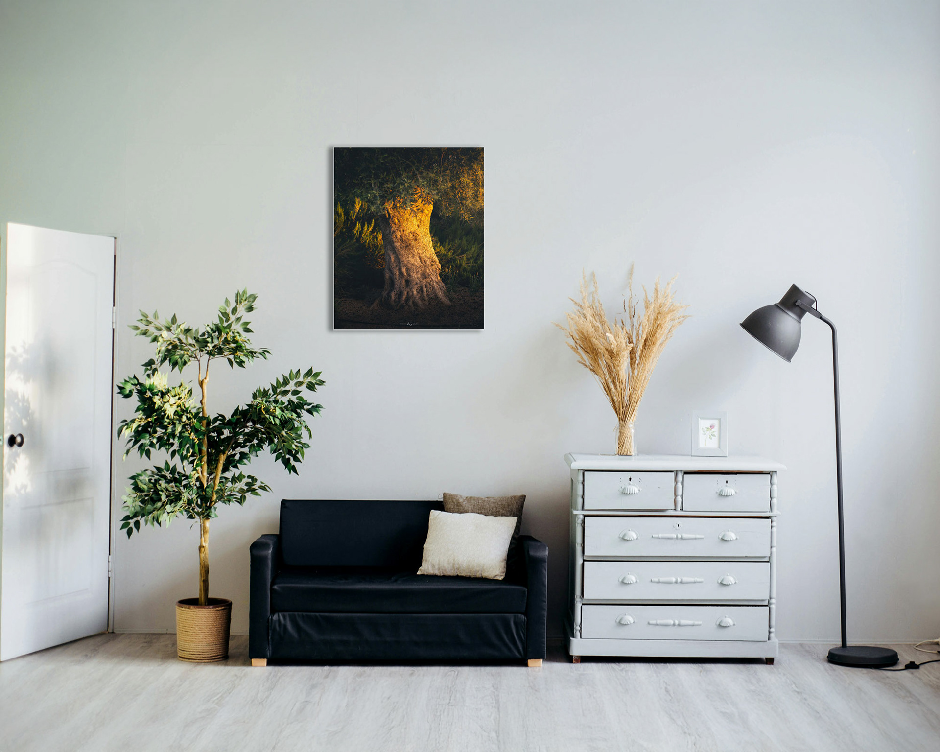Room with my olive tree image on the wall (Emily Wang)