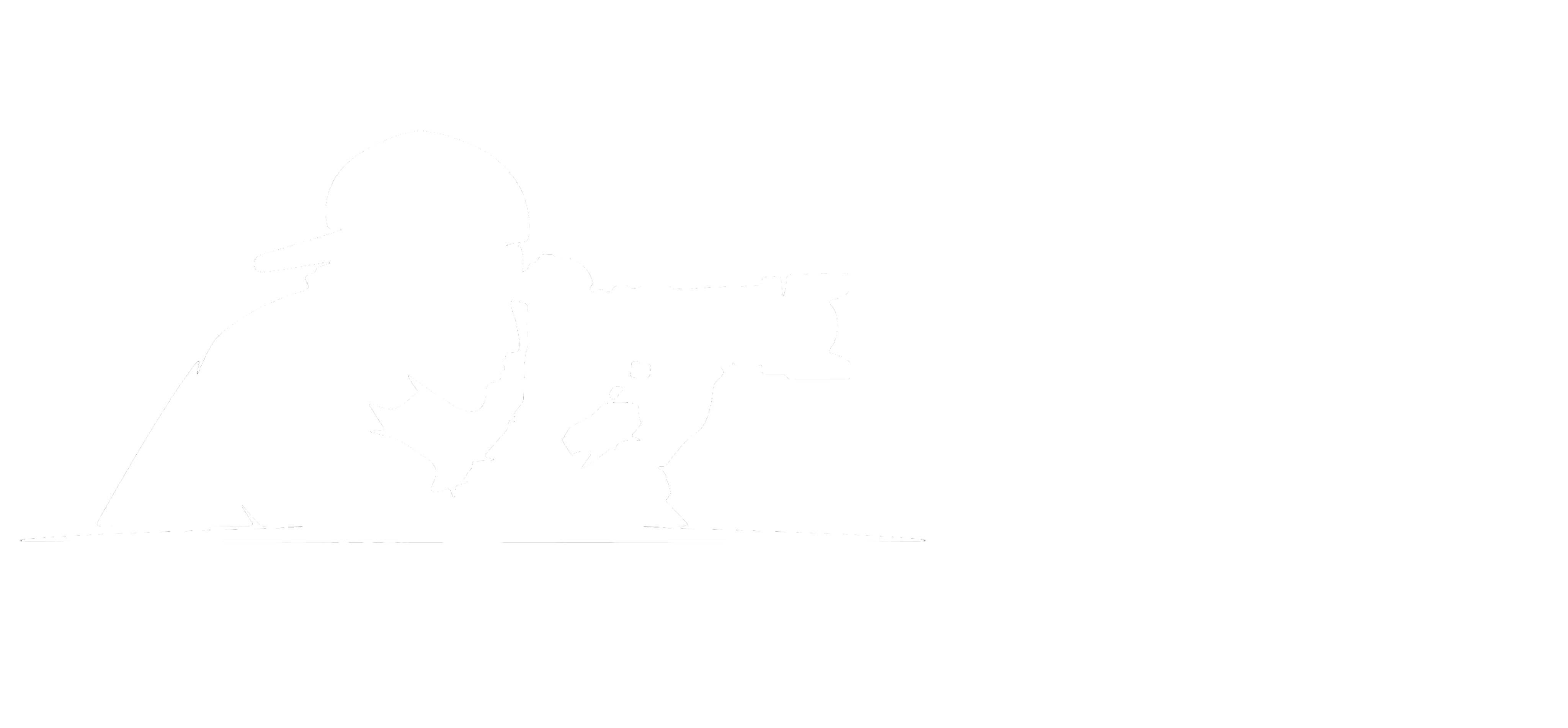 or zini