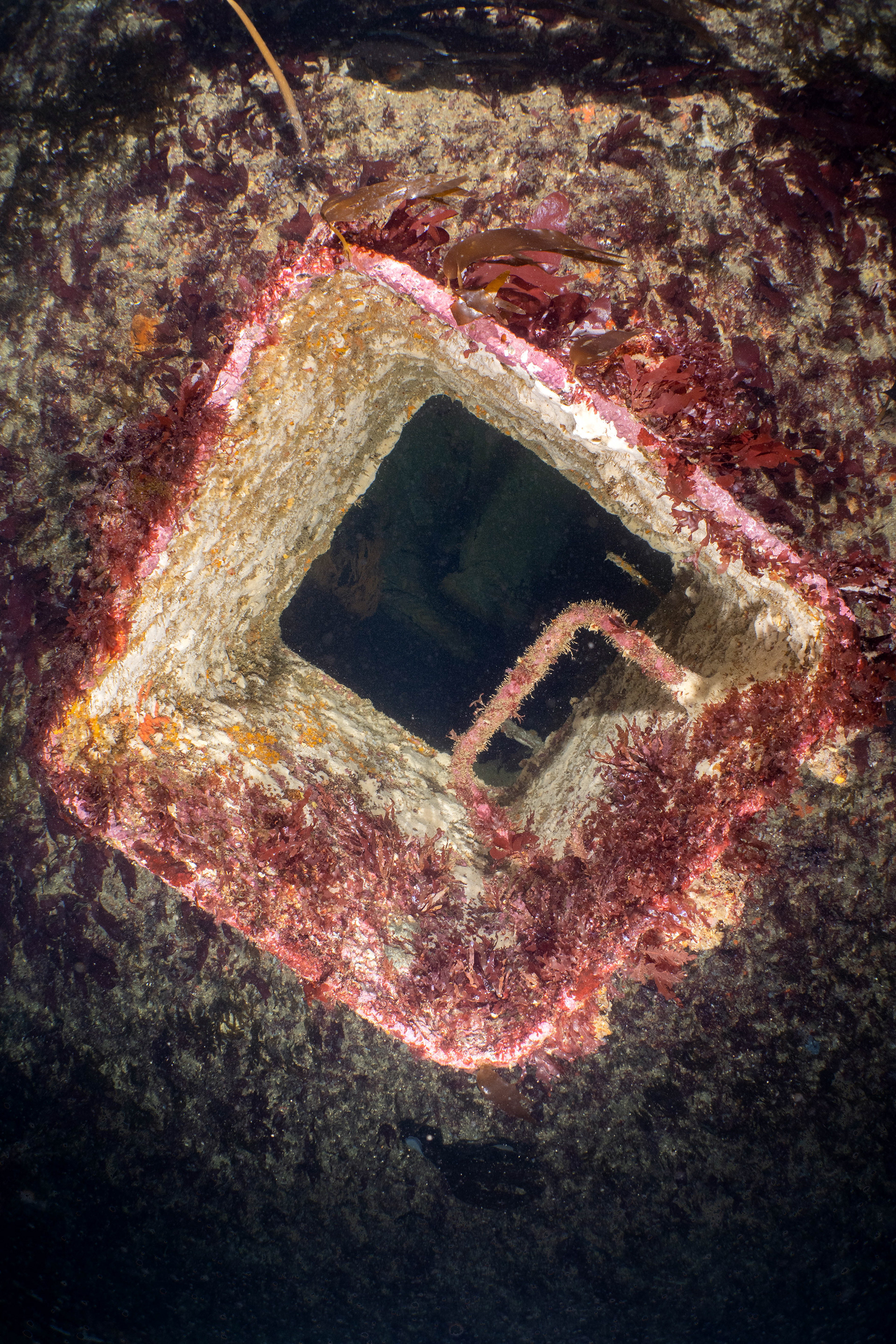 Amoco Cadiz, Bretagne, France