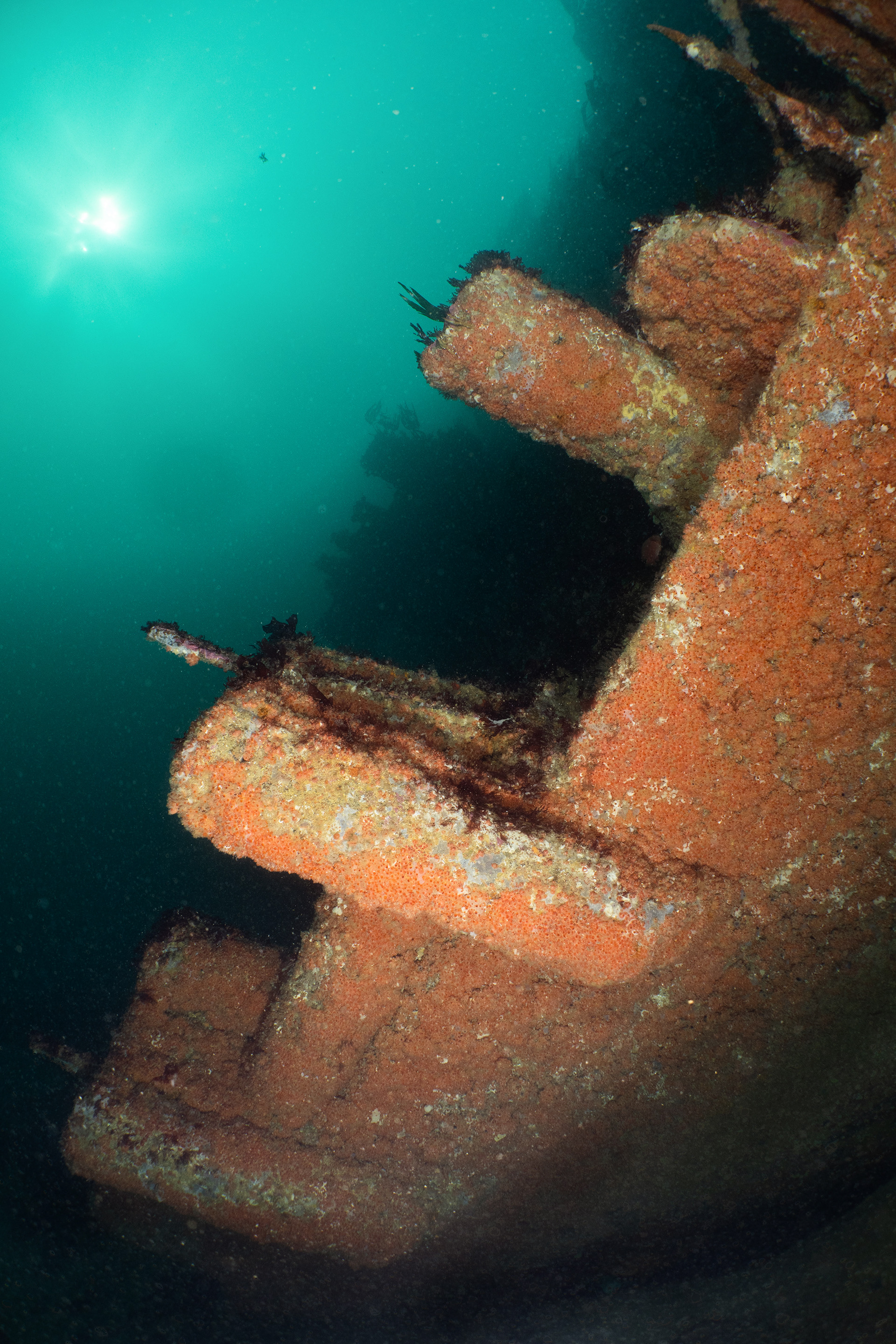 Amoco Cadiz, Bretagne, France