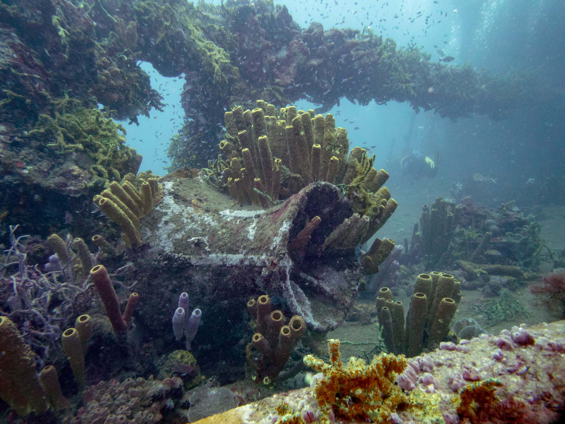 Augustin Fresnel , Guadeloupe