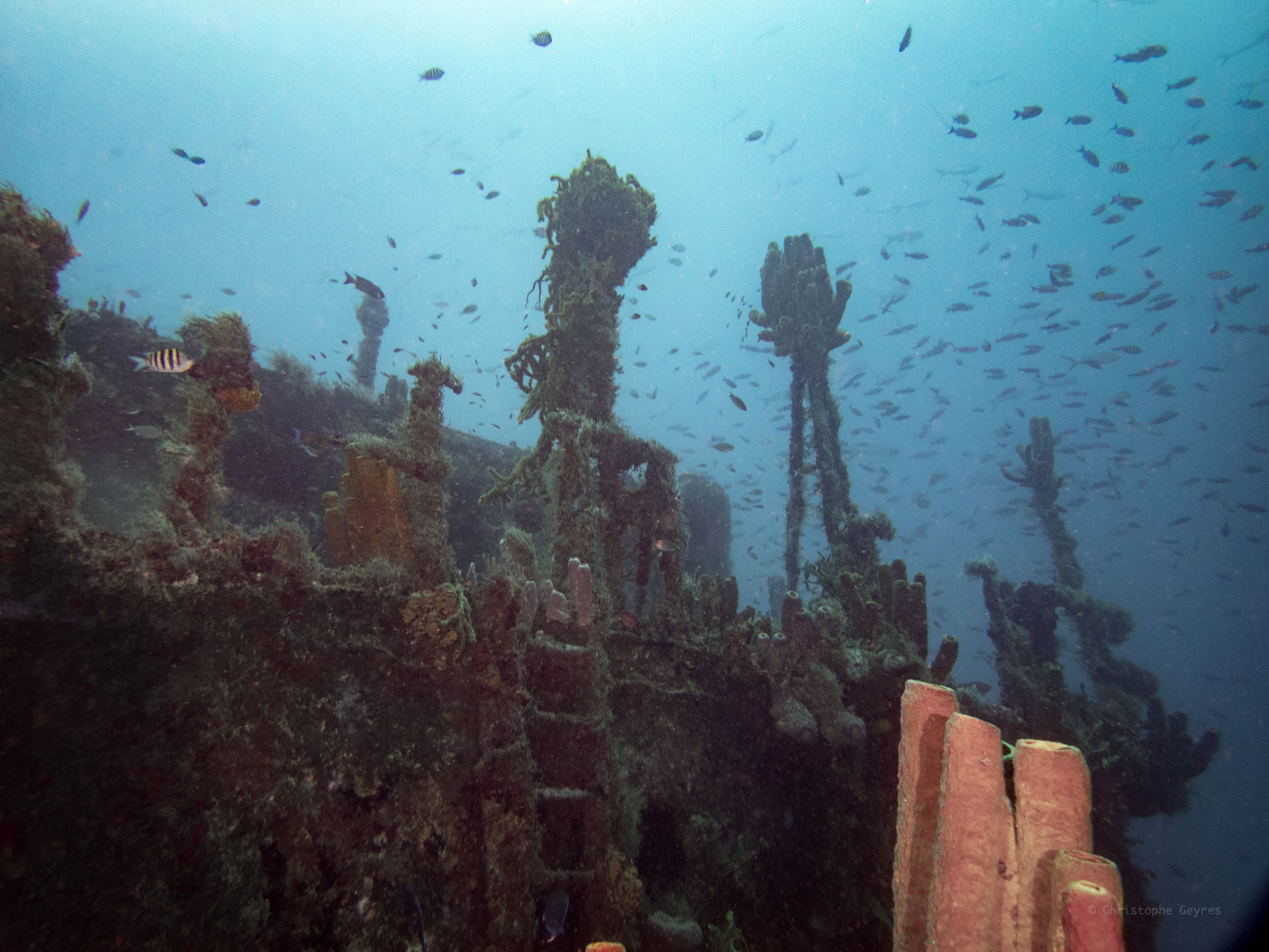 Augustin Fresnel, Guadeloupe