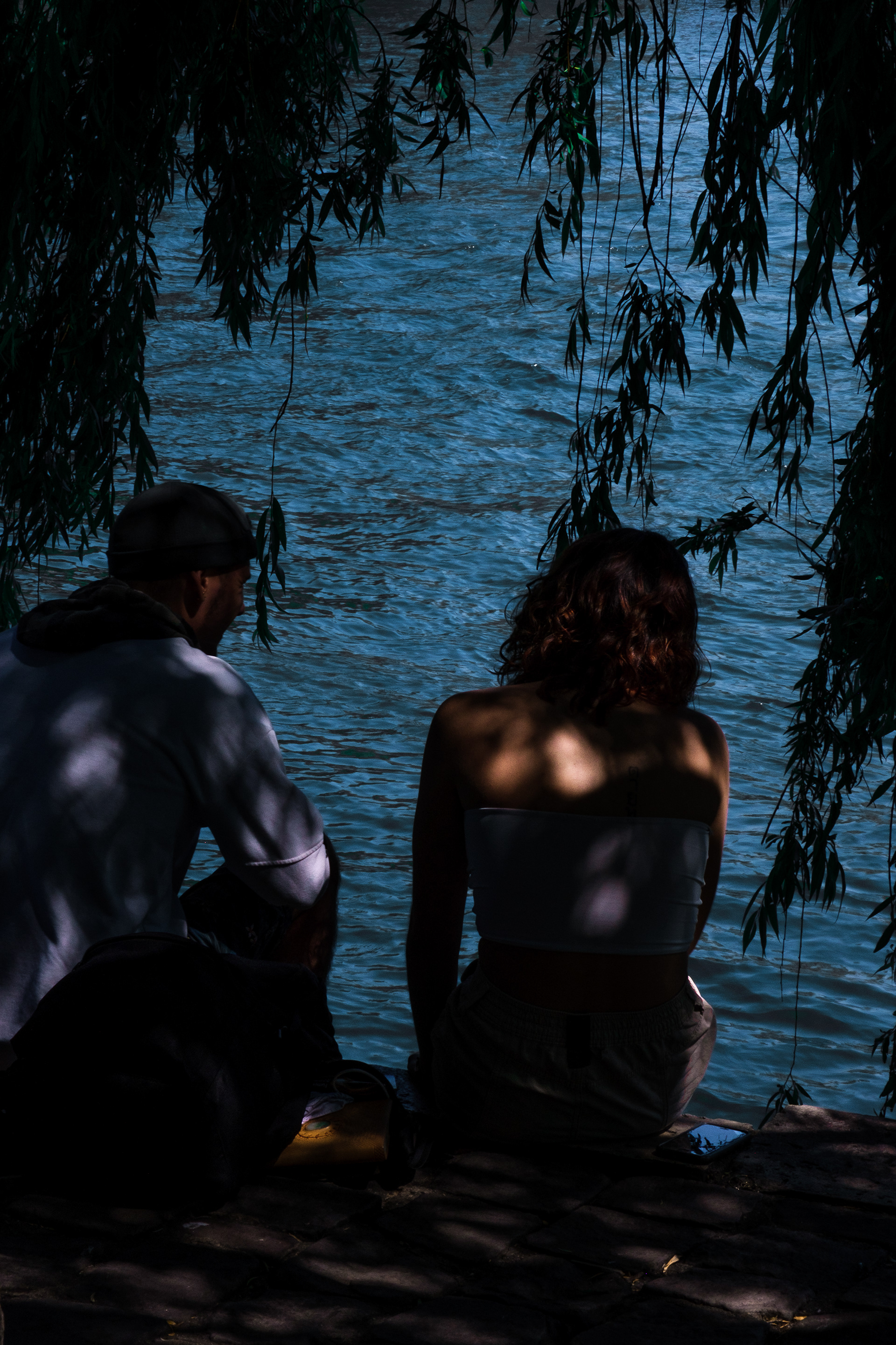 Saule Pleureur de la Pointe