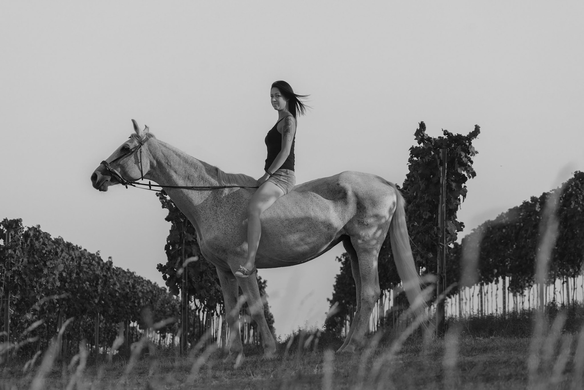 Andreas Winter