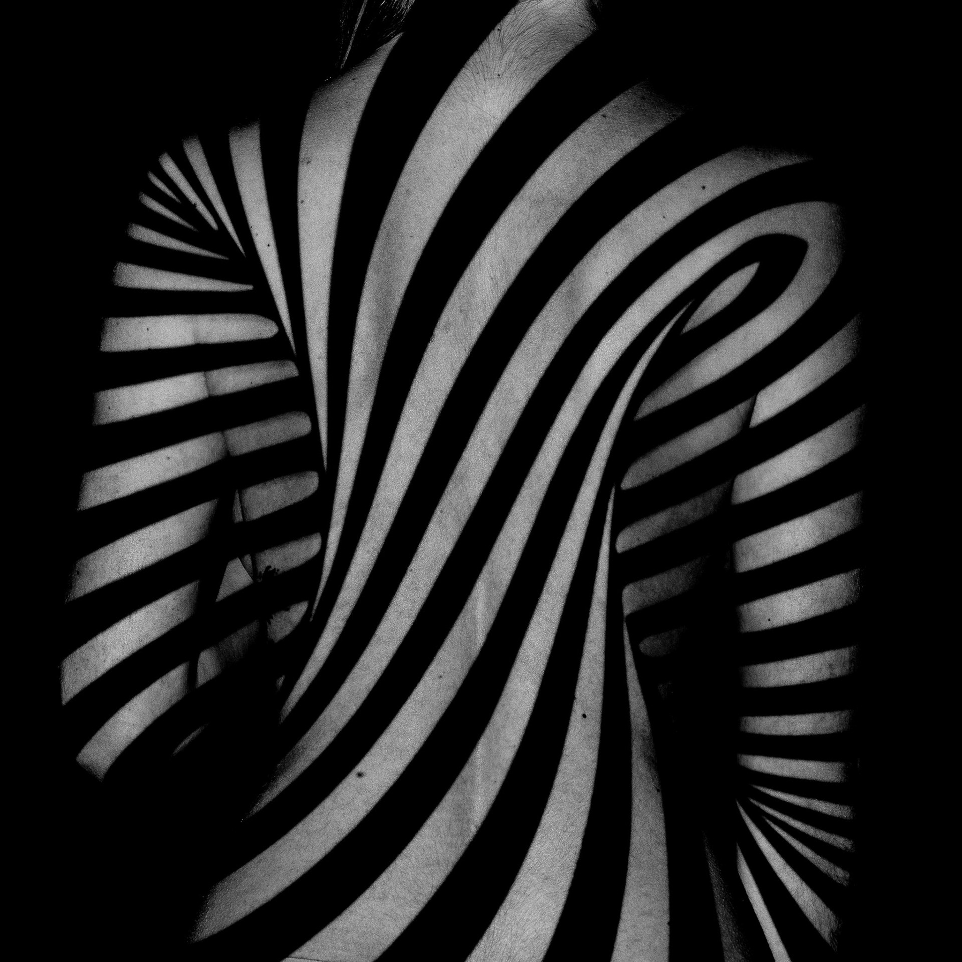 Andreas Winter