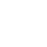 Studio Fungi