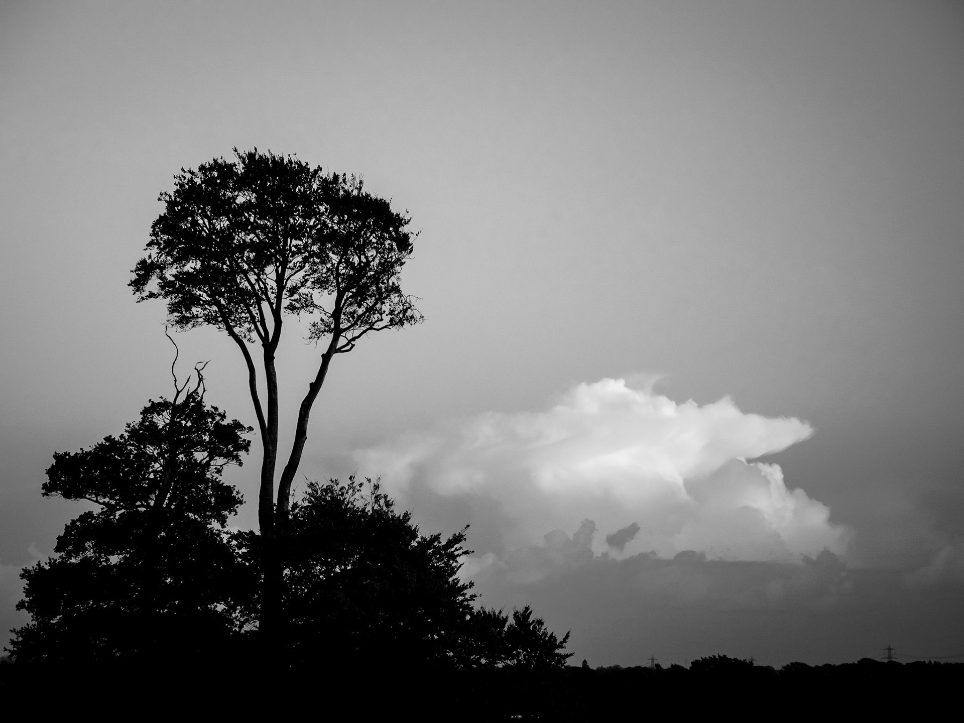 A cumulonimbus cloud reflects the setting sun as dusk falls in Sussex