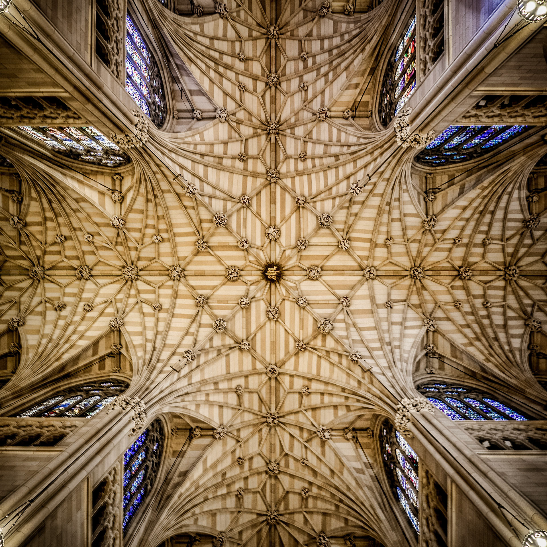 The ornate ceiling of St. Patrick's Cathedral in Manhattan, New York