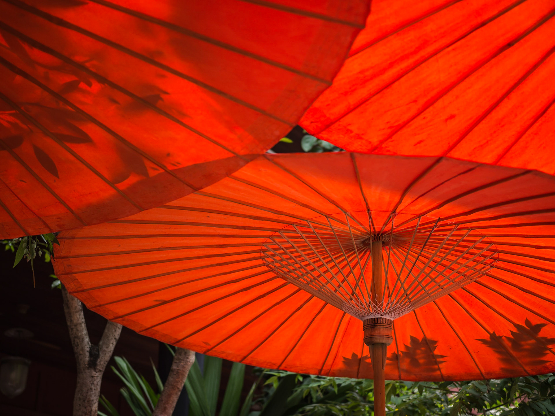Traditional bamboo parasols shades visitors in Bangkok, Thailand