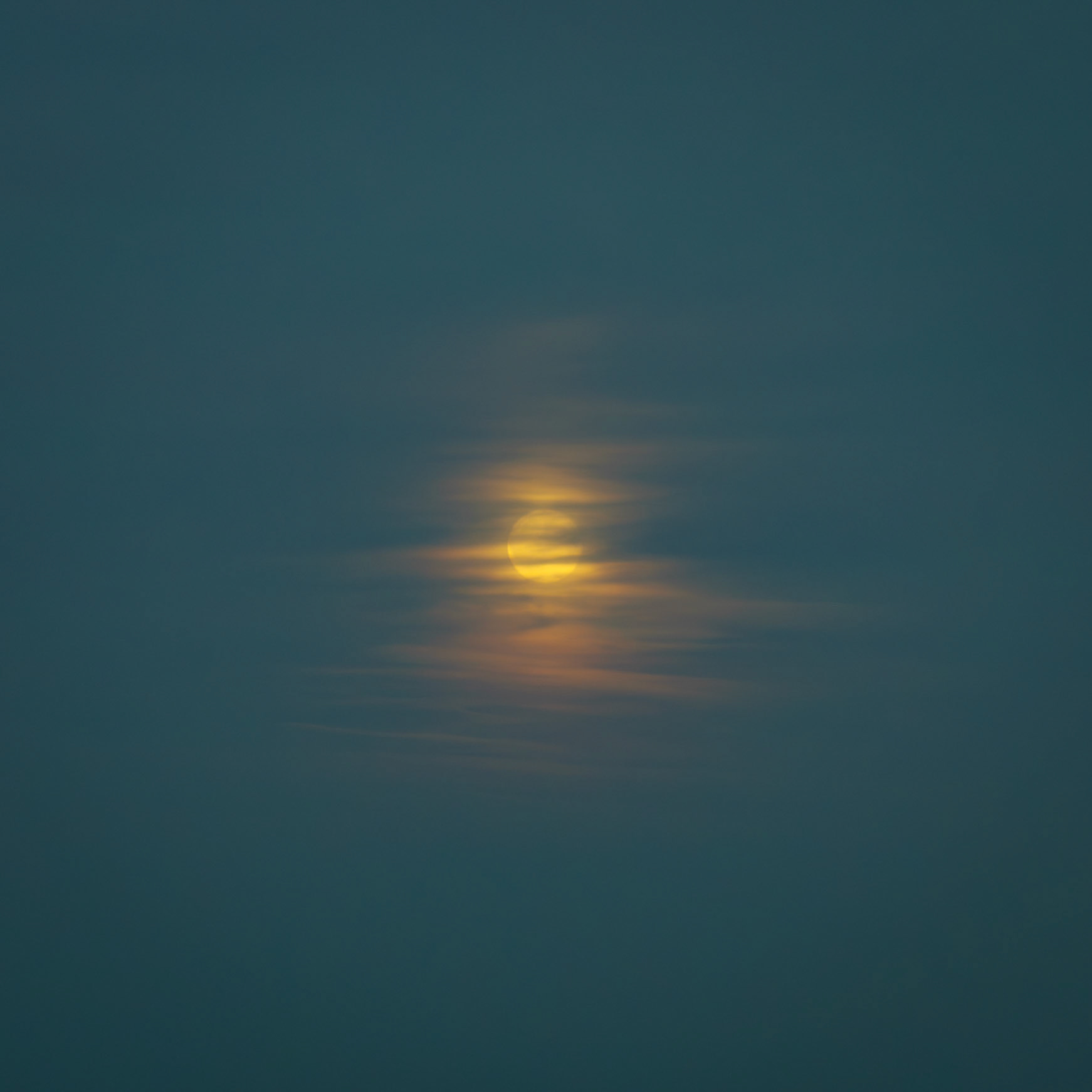 Bathed in a rich, autumnal gold, the Harvest Moon is magnified and momentarily softened by the sheer, pale scrim of slow-moving wisps of cloud.