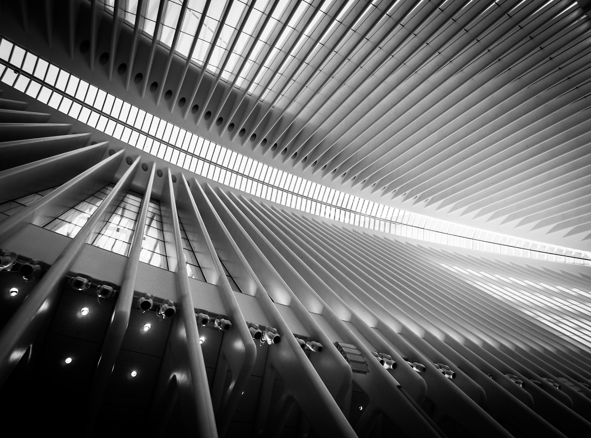 The cathedral-like architecture of the Oculus Center in Lower Manhattan, New York