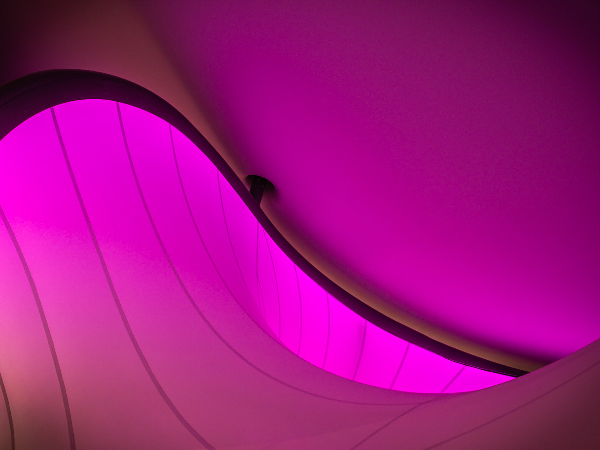 Flowing shapes and vivid colour