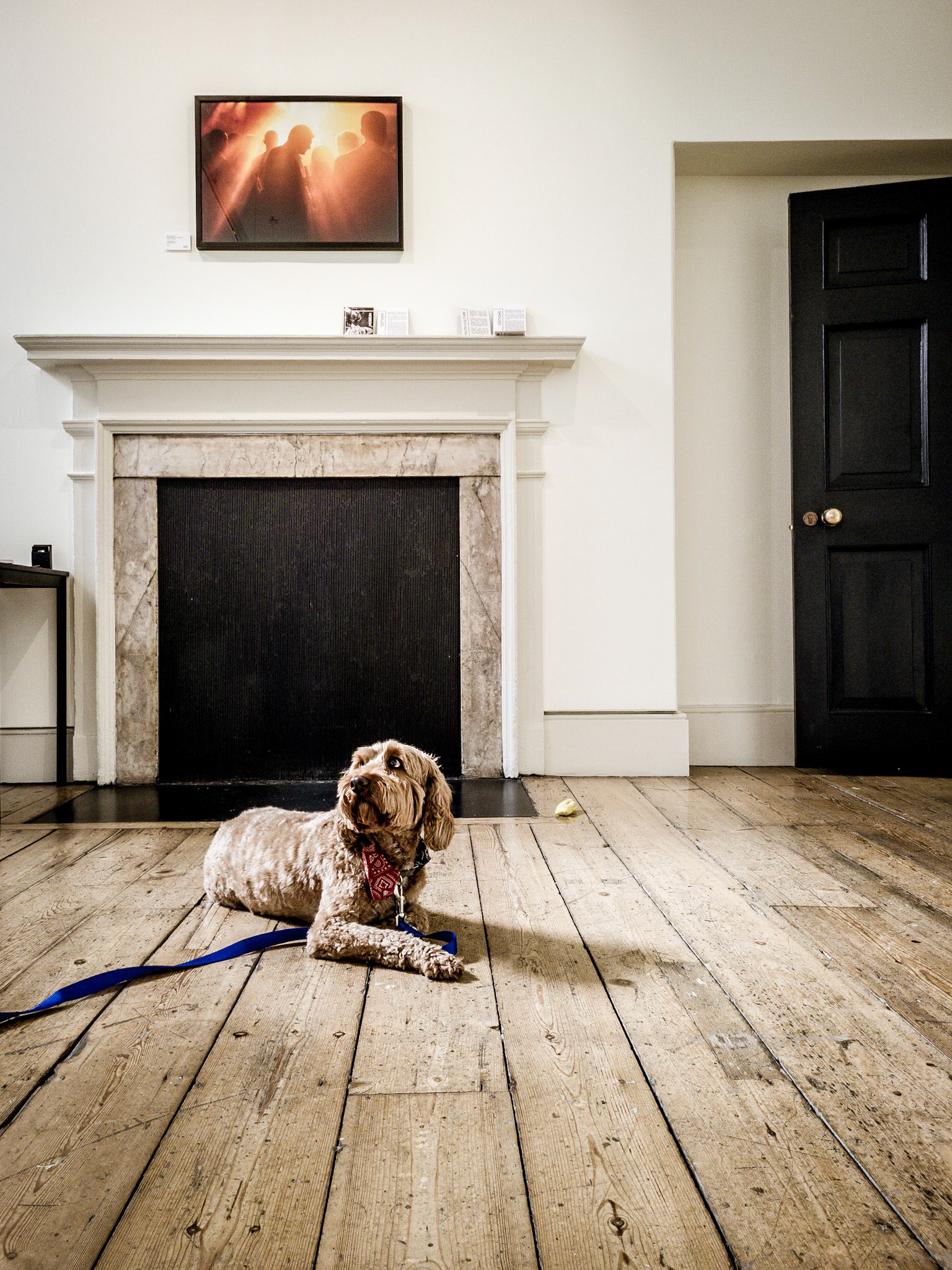 A dog waits patiently for his owner to compete his business at a photography show in London