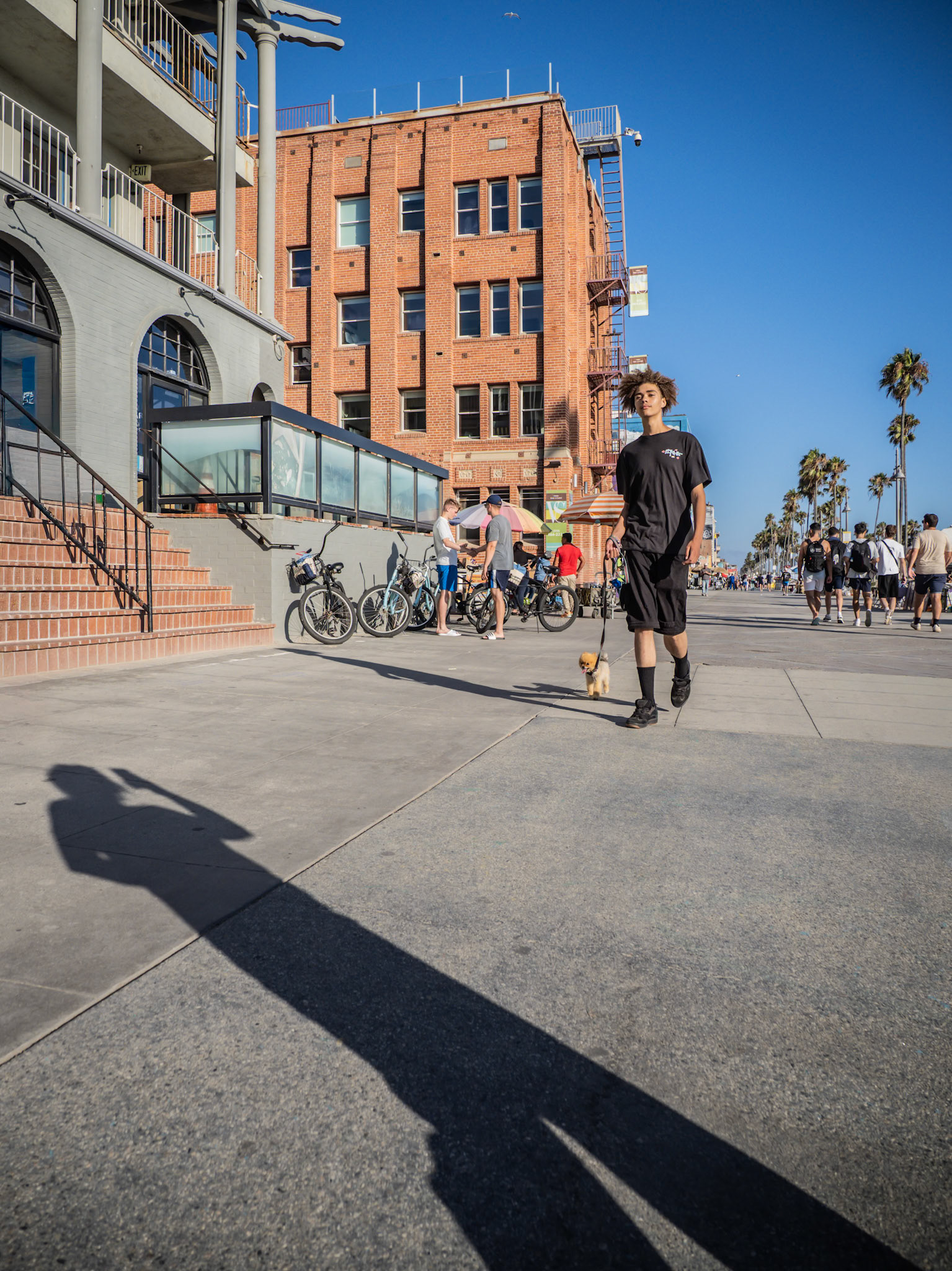A huge looming shadow of a passer-by falls in front of a man walking a tiny dog along the boardwalk of Venice Beach in California