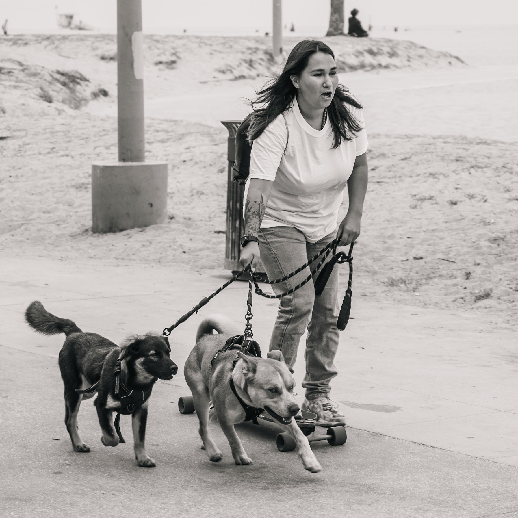 A young woman tries to keep her balance as she is pulled along Venice Beach on her skateboard by her pair of eager dogs.