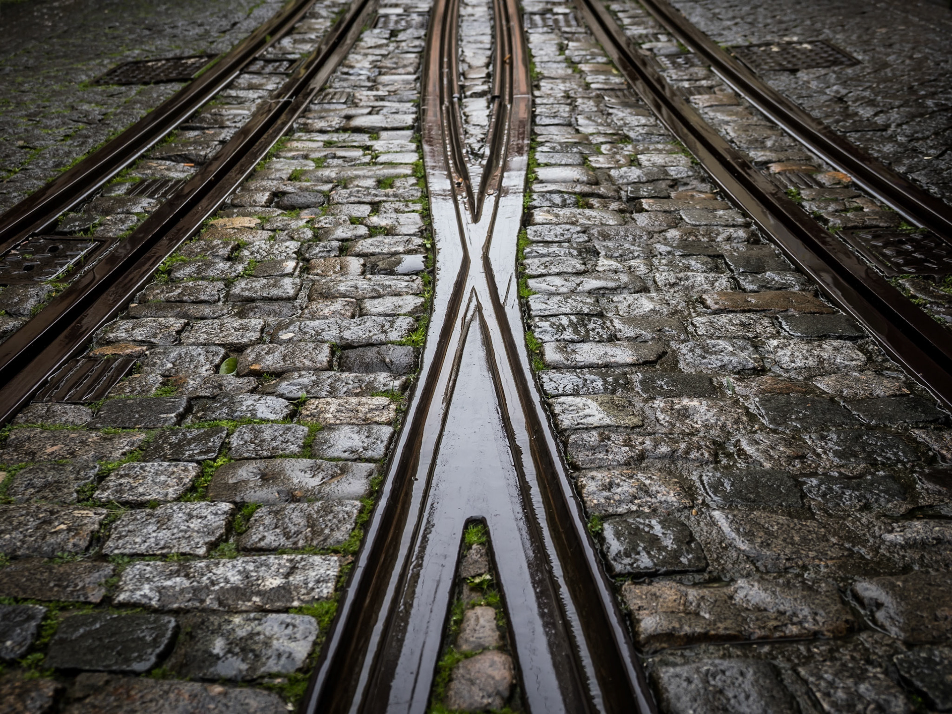 Rain-slicked iron tracks converge over polished Portuguese cobblestones