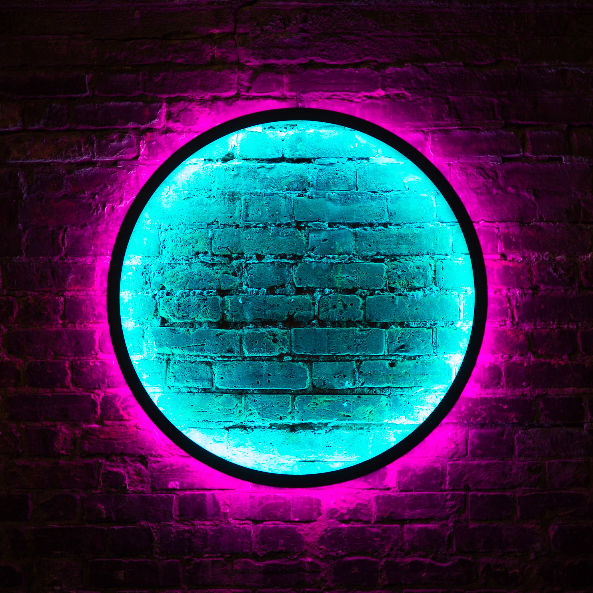 Concentric neon lights form a piece contemporary artwork